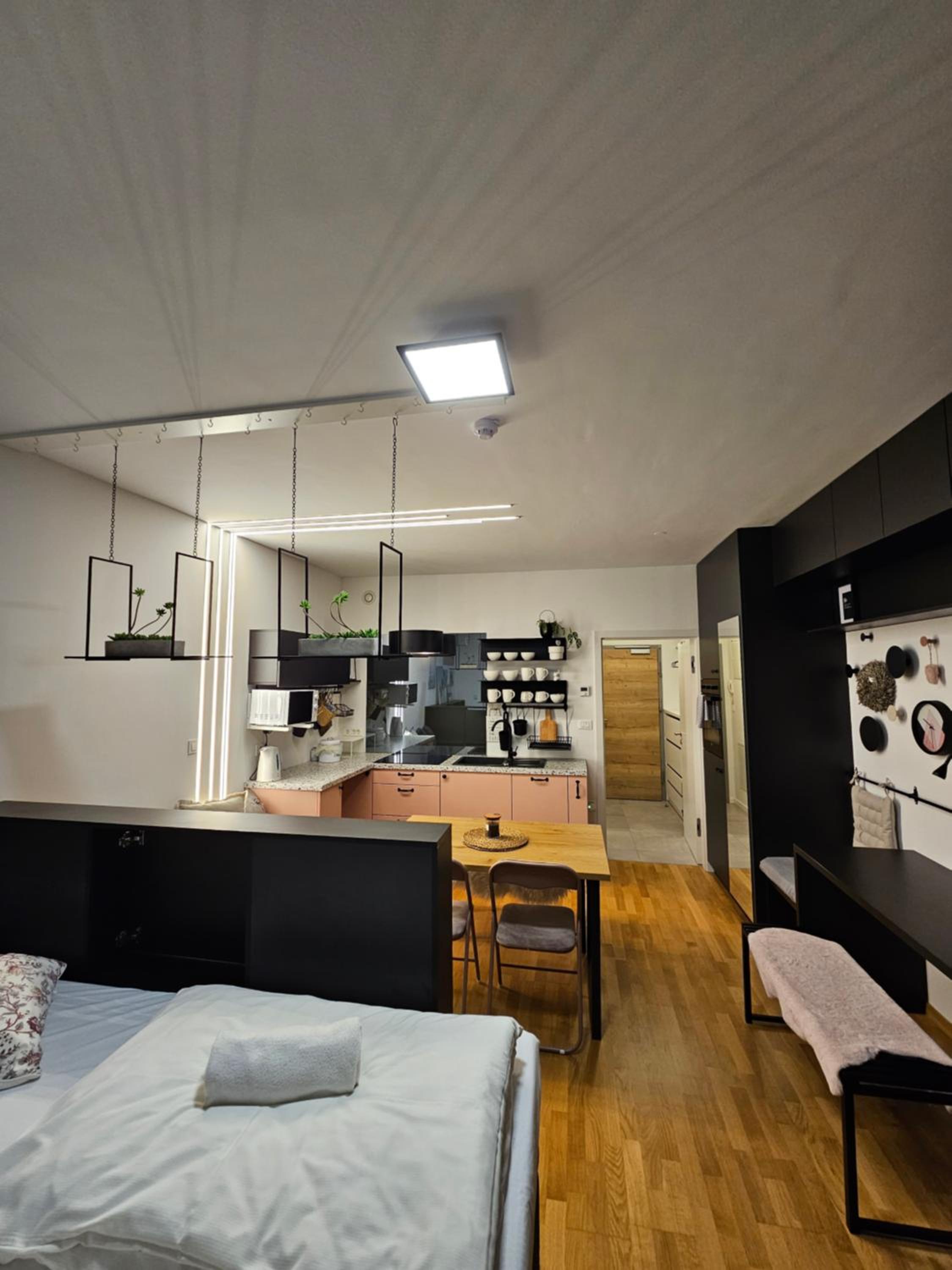 Apartment with Terrace