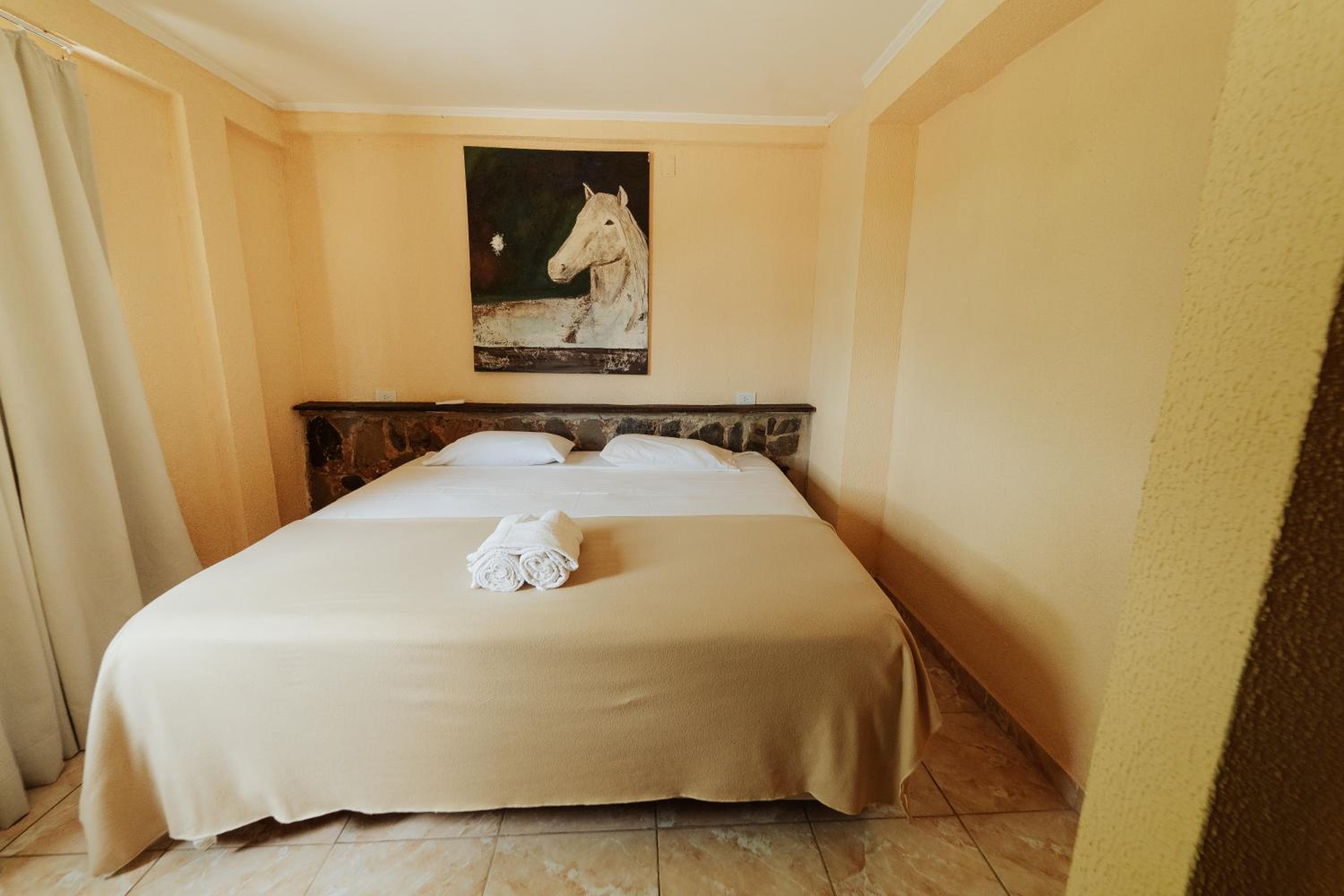 Studio Apartment with King Bed photo 2