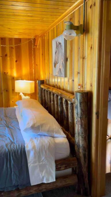 Chalet photo 1
