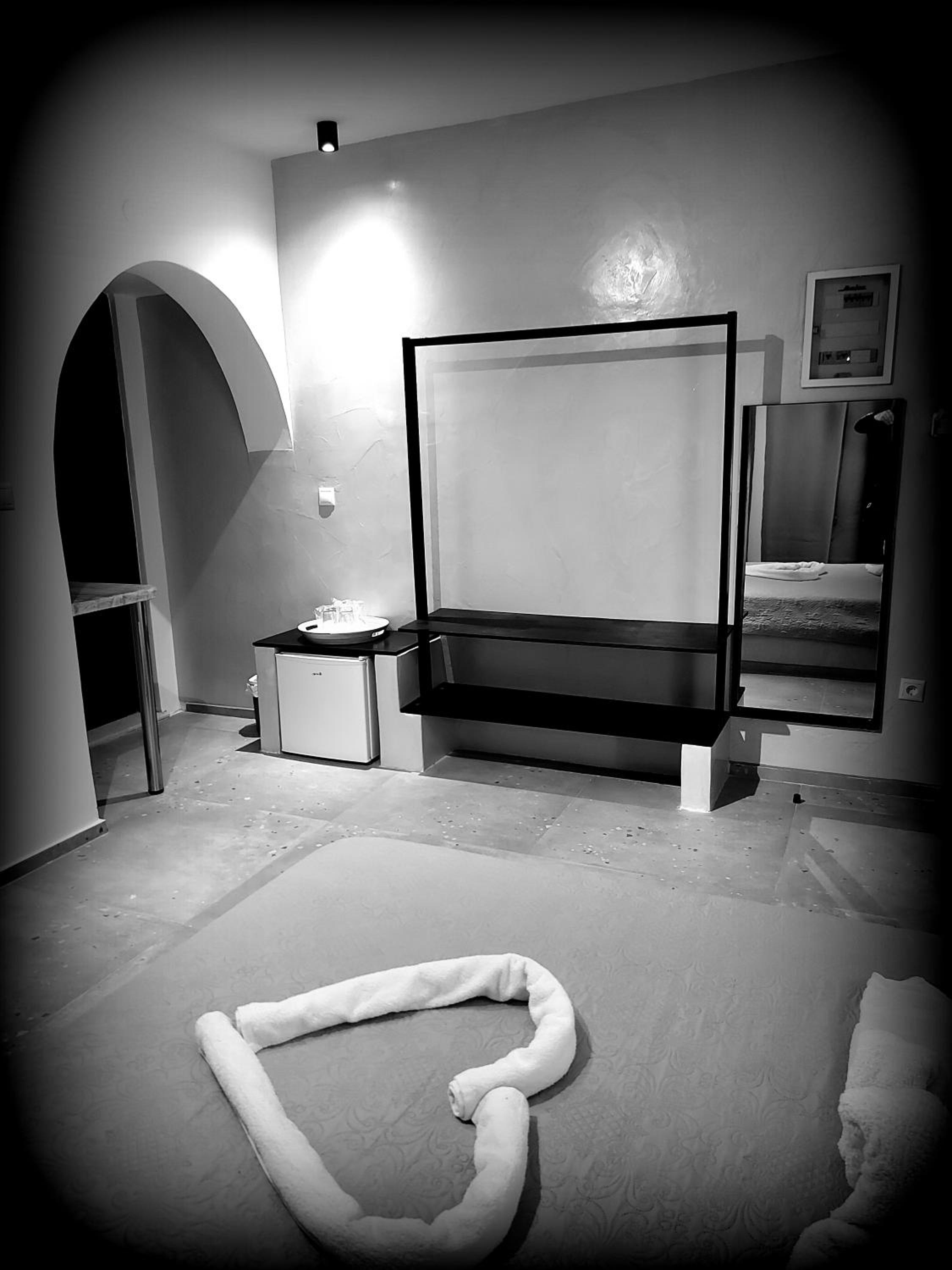 Studio with Mountain View - Photo 22