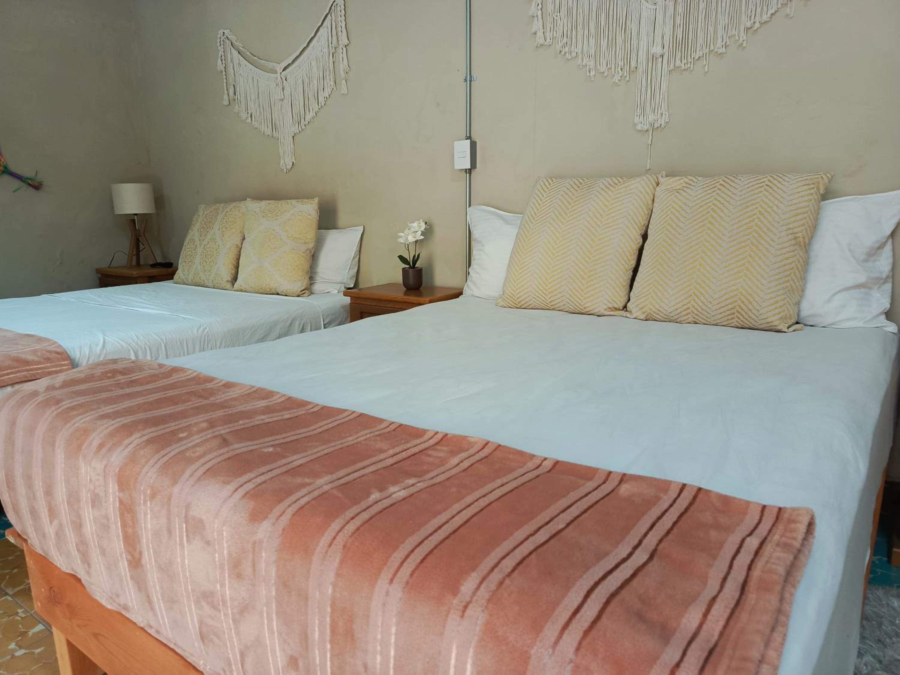 Deluxe Double Room photo 2