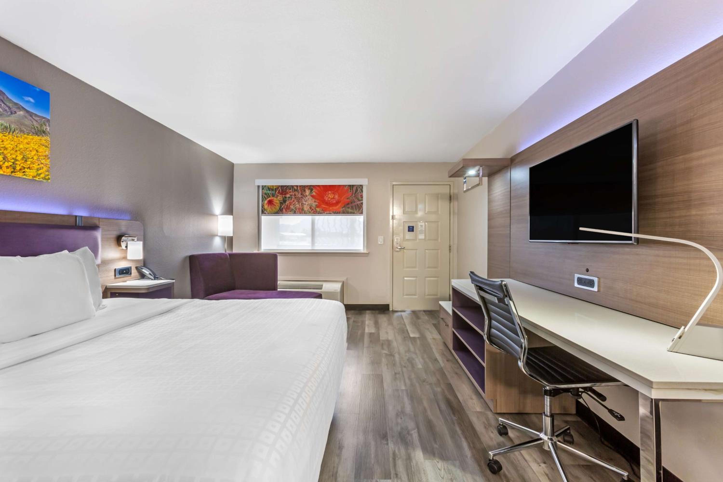 King Room - Non-Smoking - Photo 1