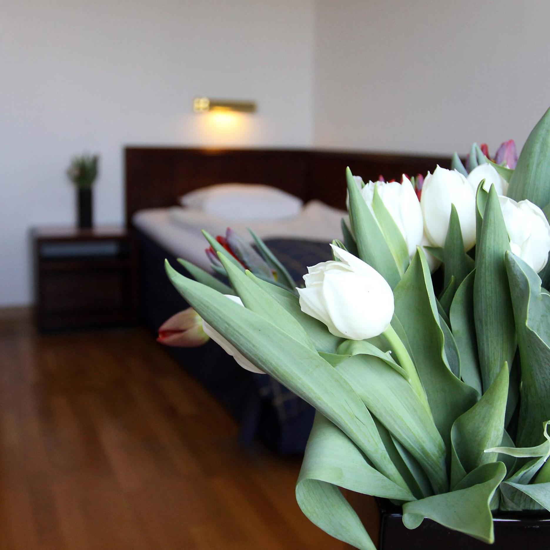 Standard Single Room photo 3