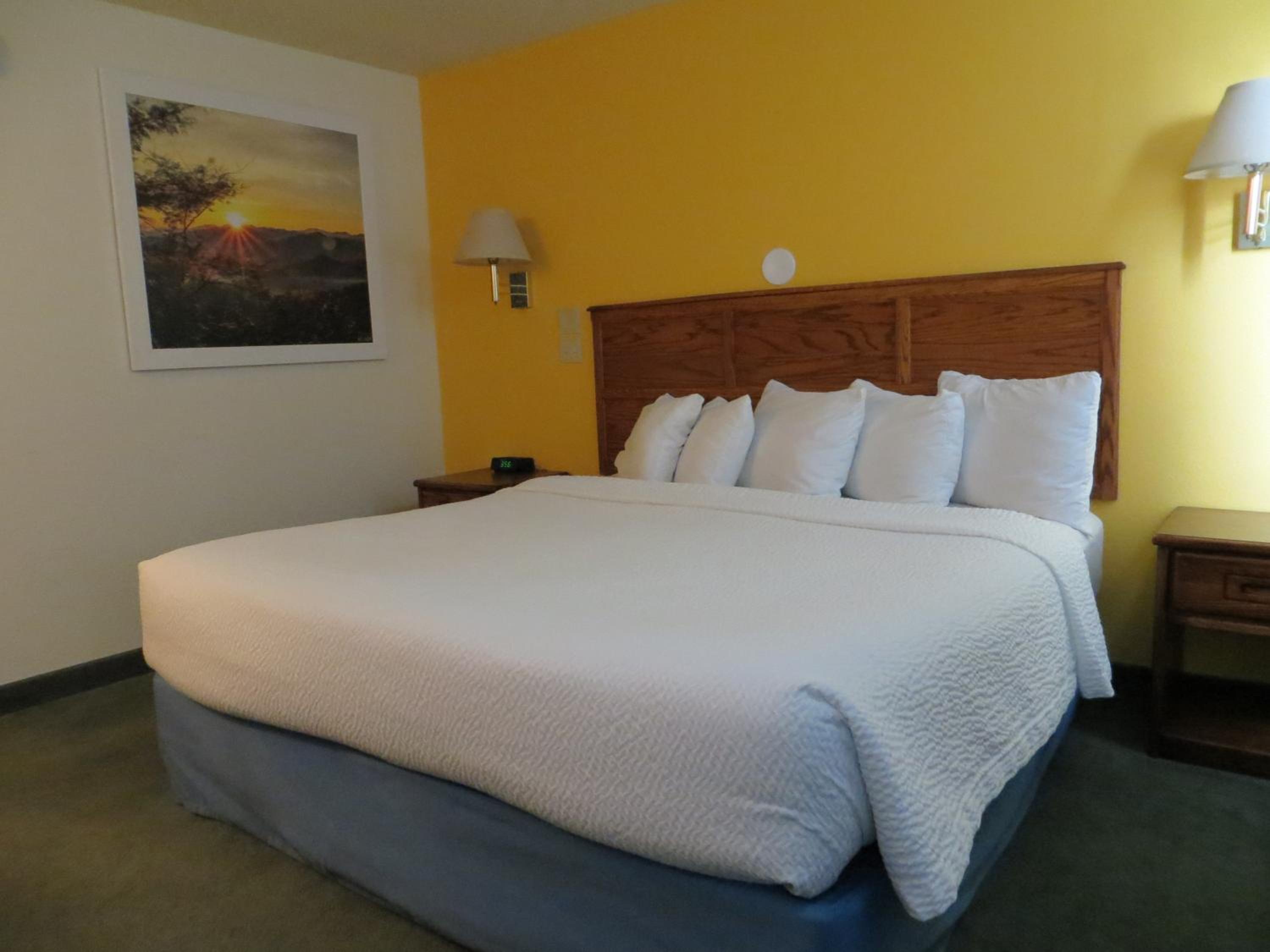 1 King Bed, Mobility/Hearing Accessible Room, Roll-In Shower - Photo 1