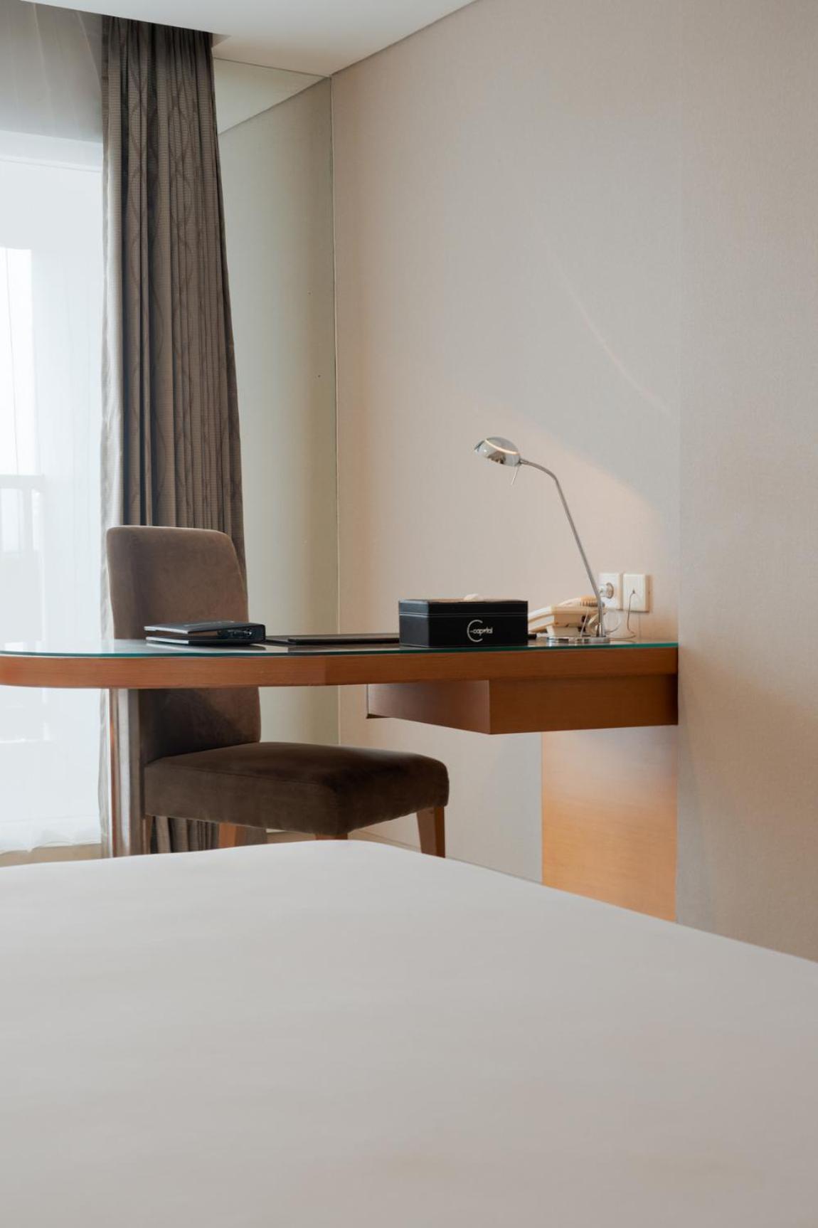Executive Double or Twin Room - Photo 11