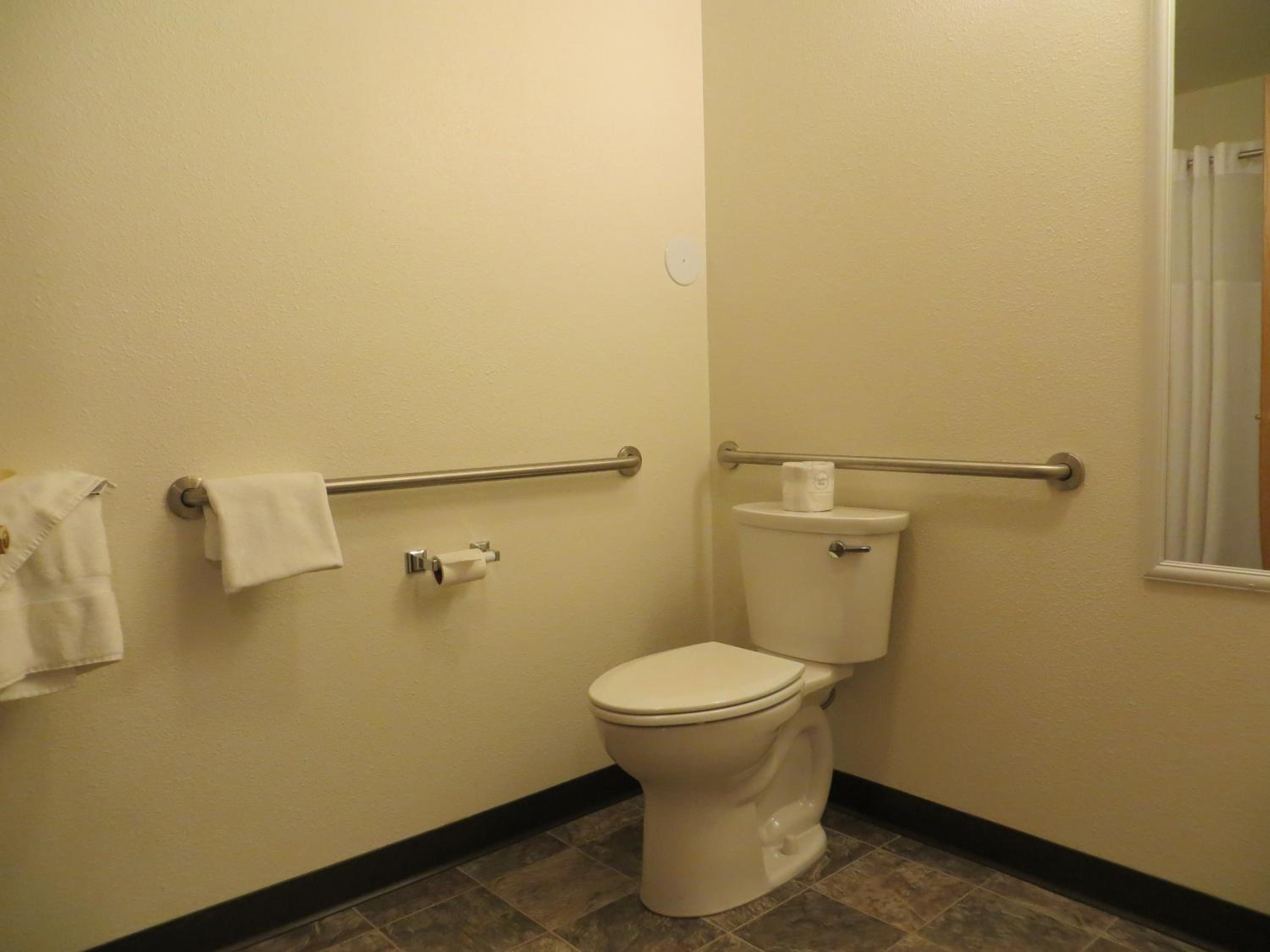 1 King Bed, Mobility/Hearing Accessible Room, Roll-In Shower - Photo 4