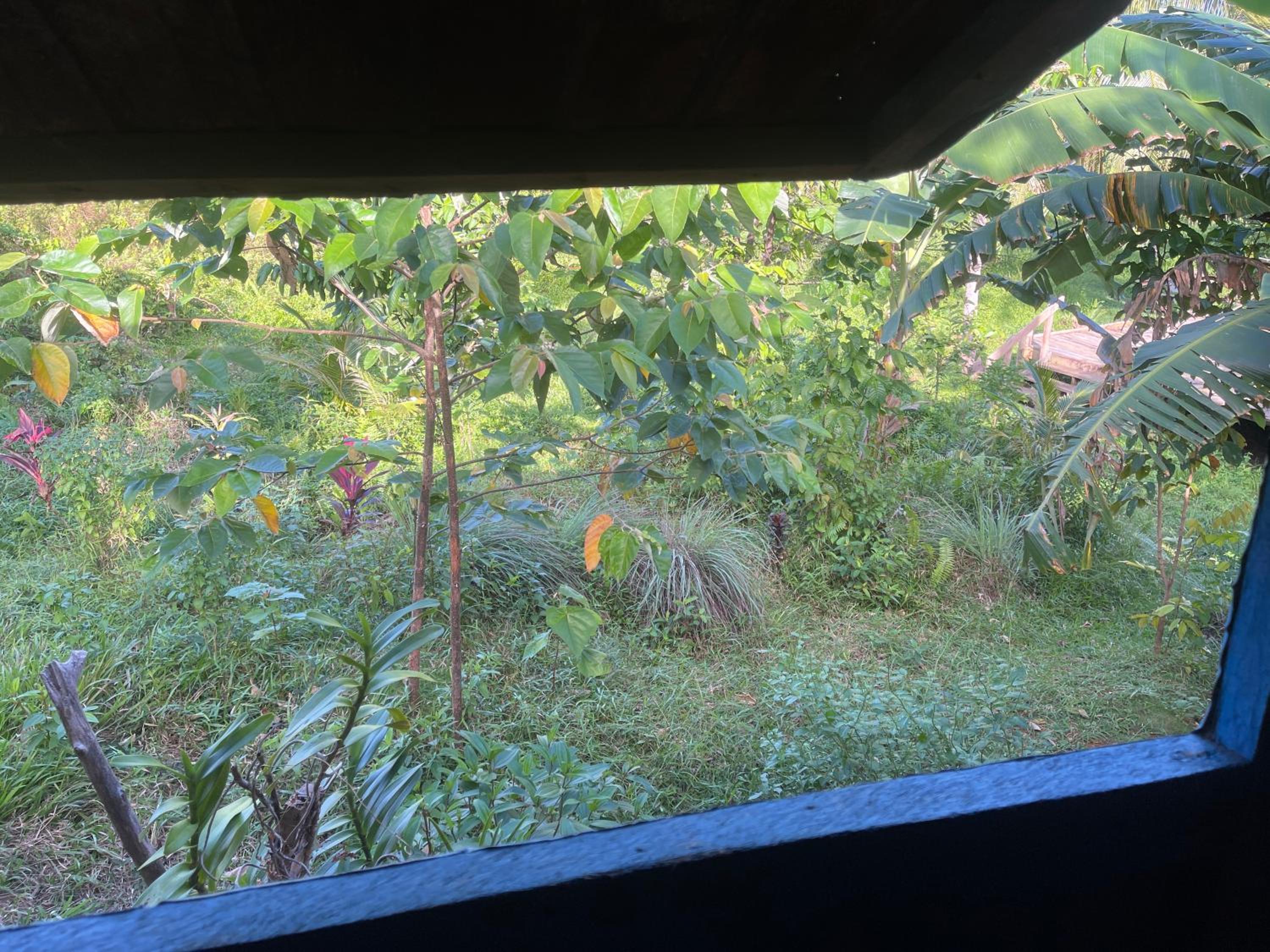 Double Room With Mountain View photo 2