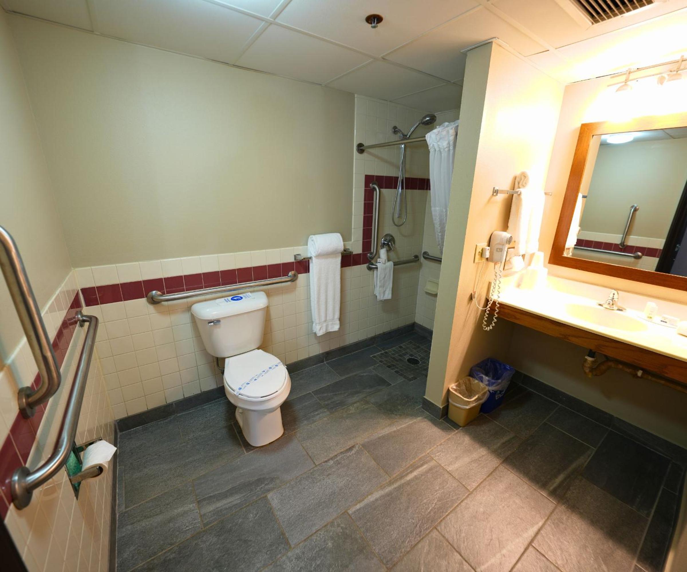 Queen Room - Disability Access - Non-Smoking - Photo 4