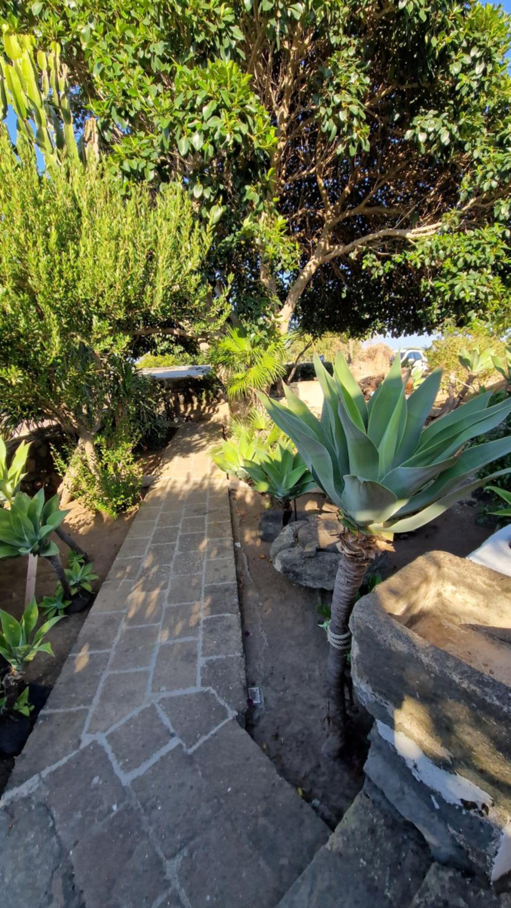 Apartment with Garden View photo 3