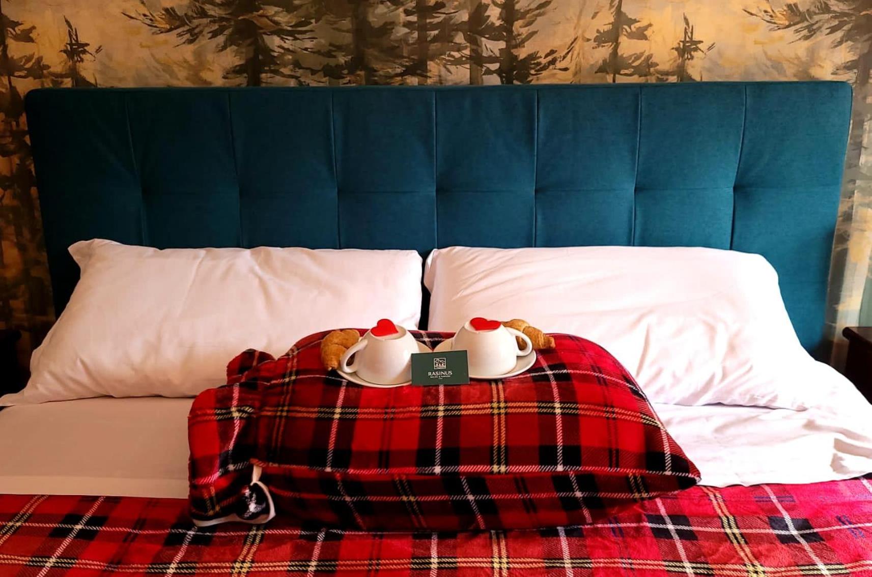 Triple Room with Mountain View photo 2