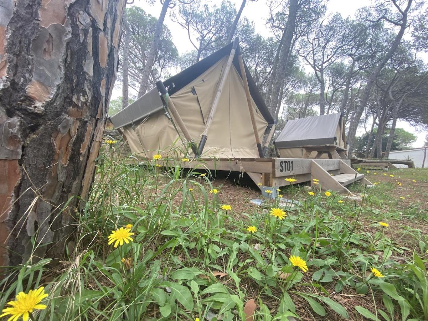 Tent - Photo 6