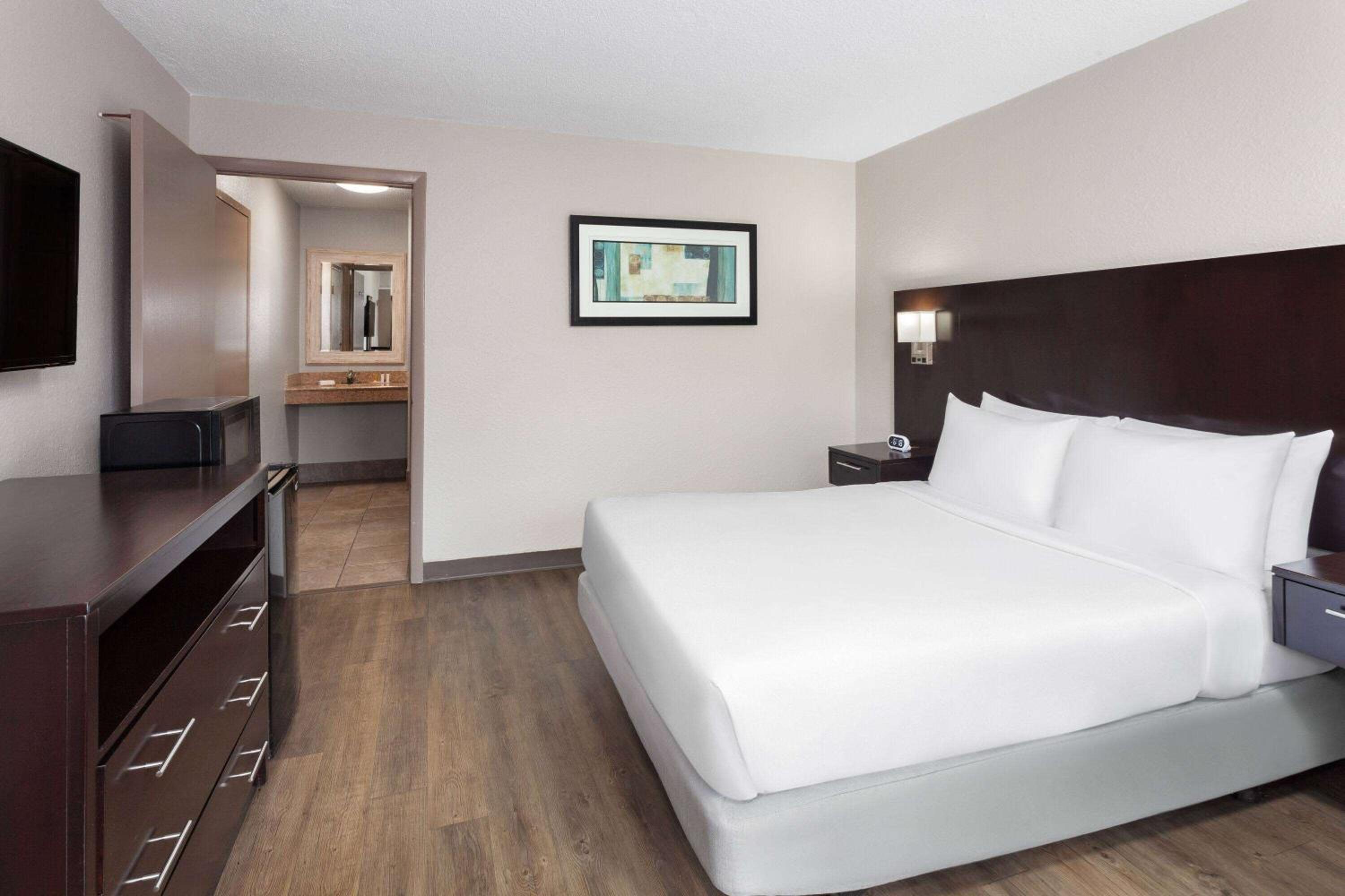 1 Queen Bed, Mobility Accessible Room, Pet-Friendly, Non-Smoking photo 1