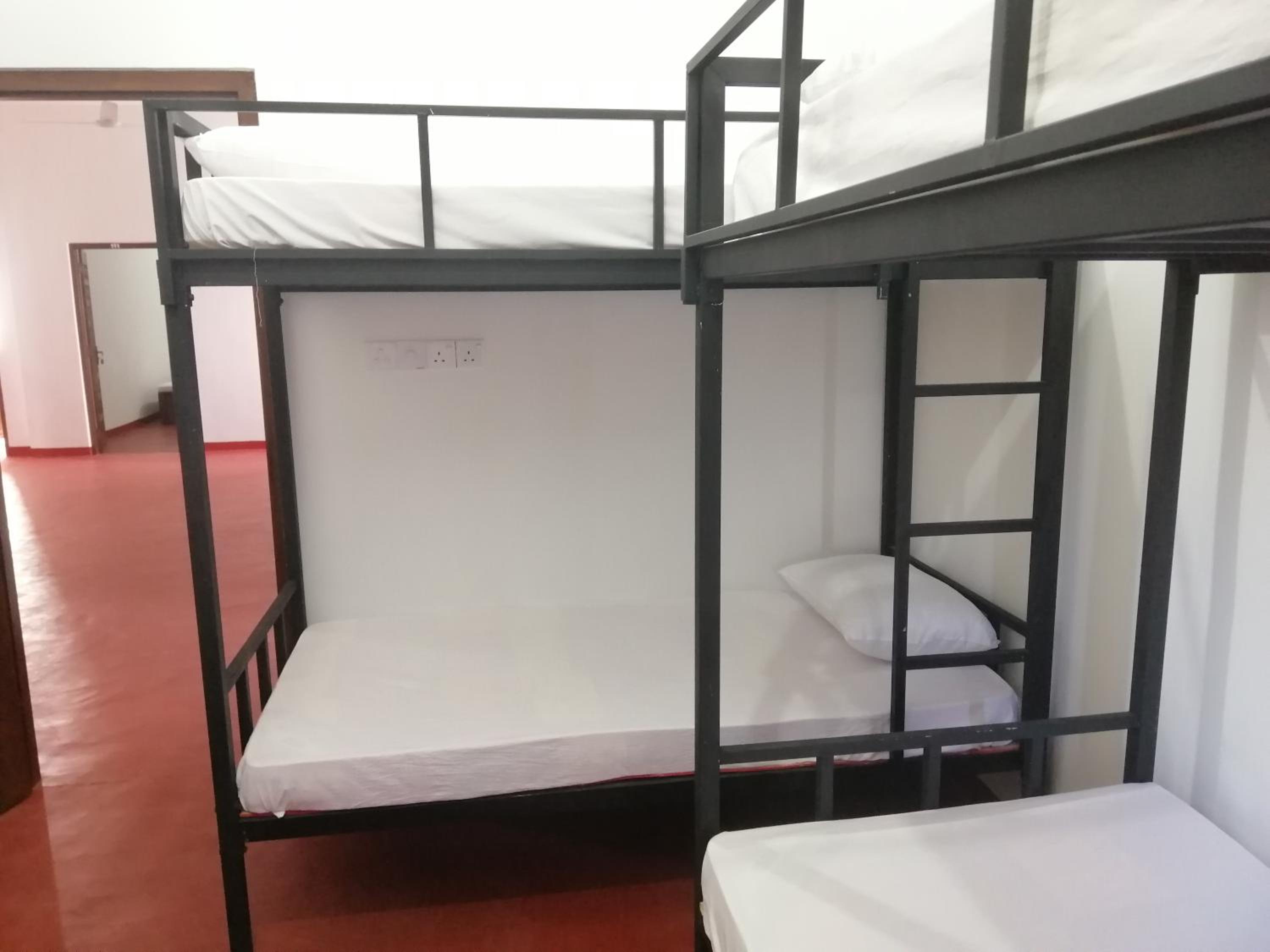 Bunk Bed In Mixed Dormitory Room photo 1