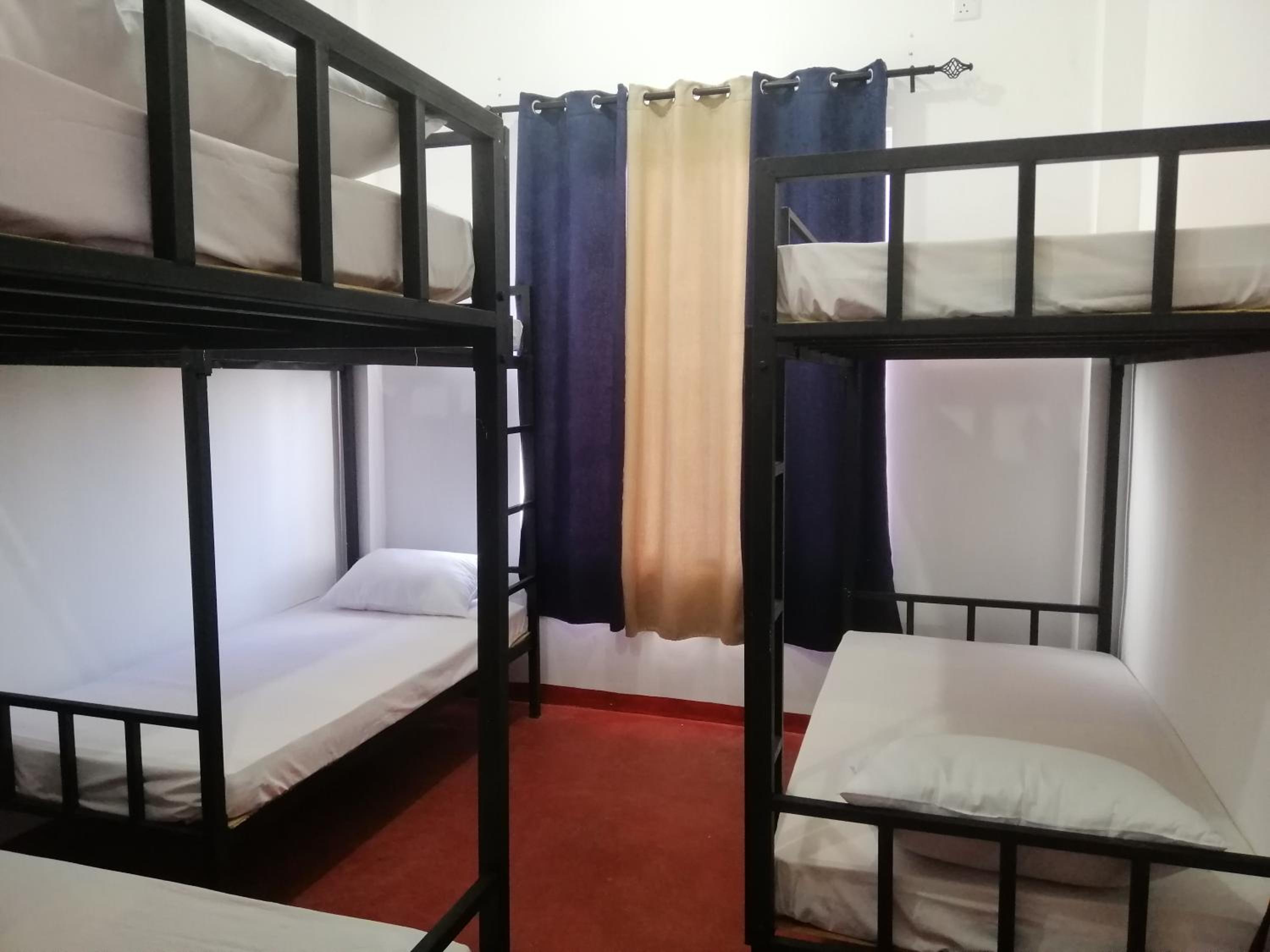 Bunk Bed In Mixed Dormitory Room photo 2