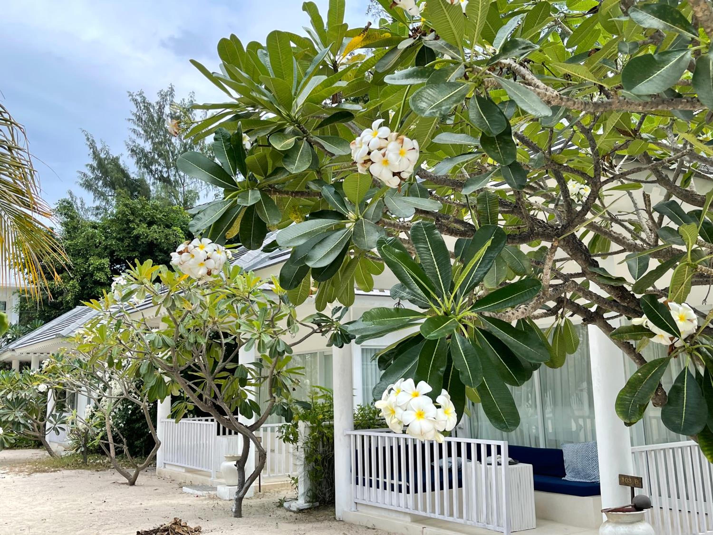 Beach Bungalow with Nature View - Photo 10