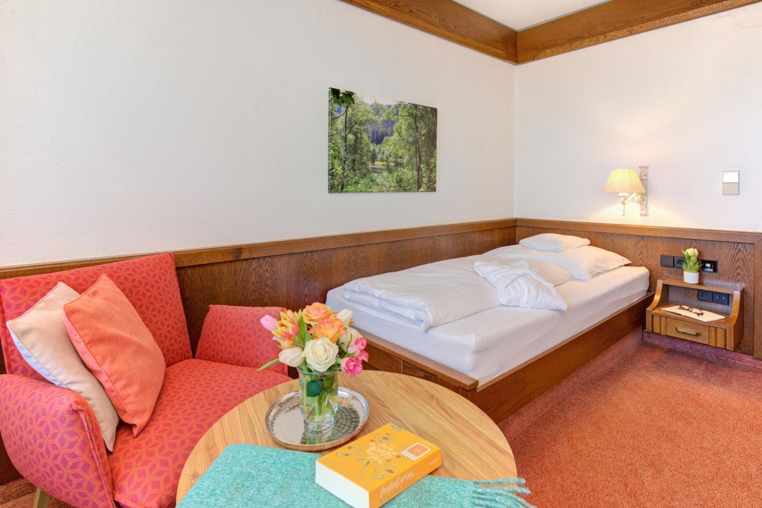 Single Room - Rinkenberg
