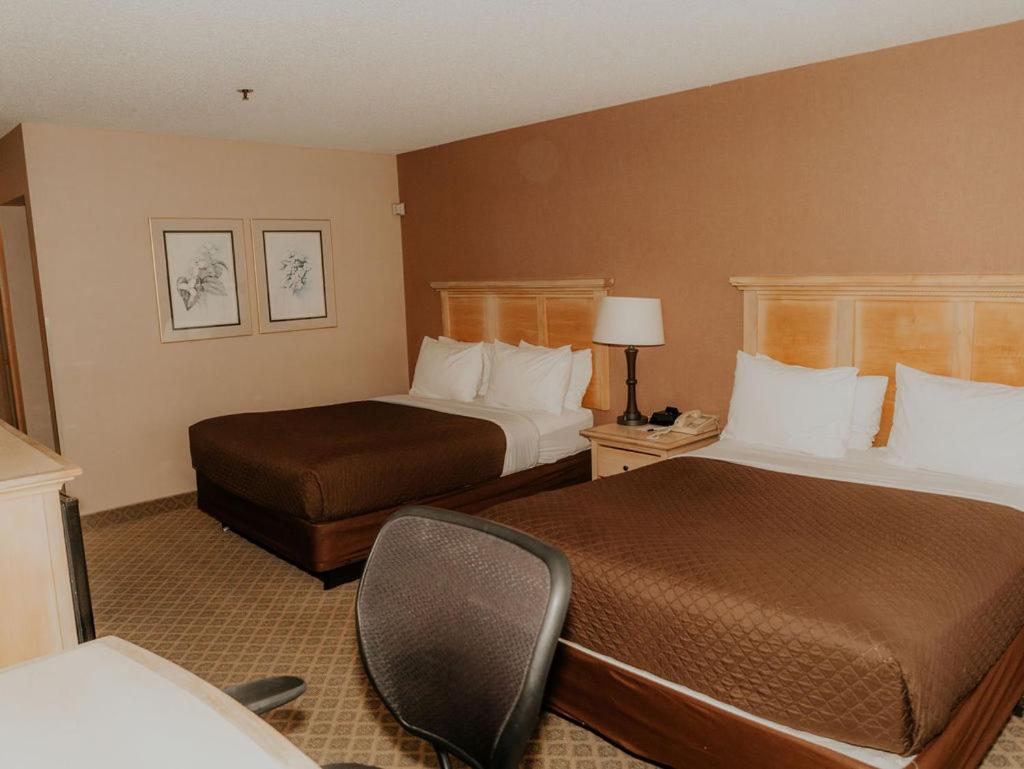 Deluxe Queen Room - Photo 1