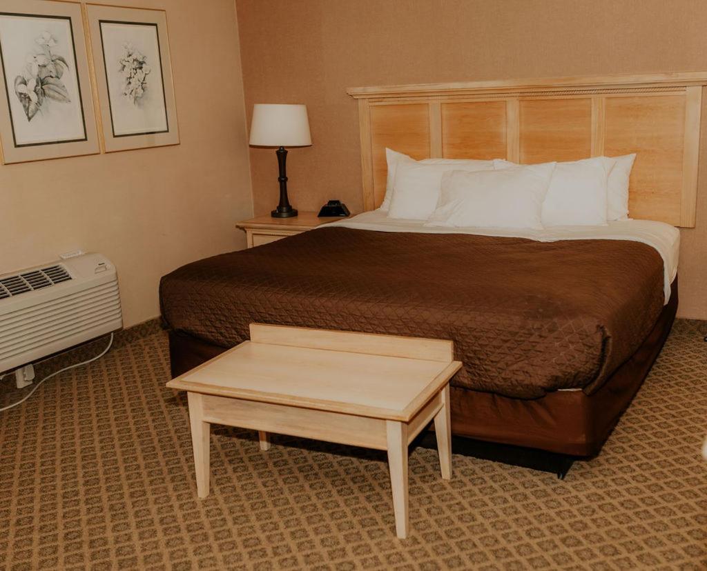 King Suite - Photo 3