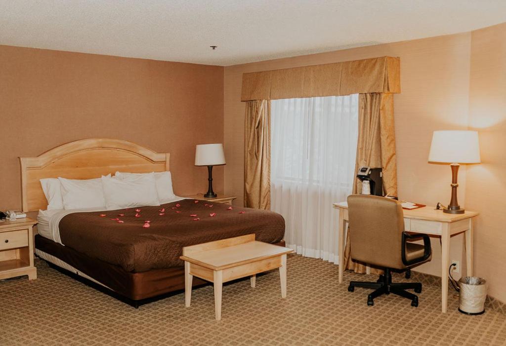 King Suite with Spa Bath photo 1