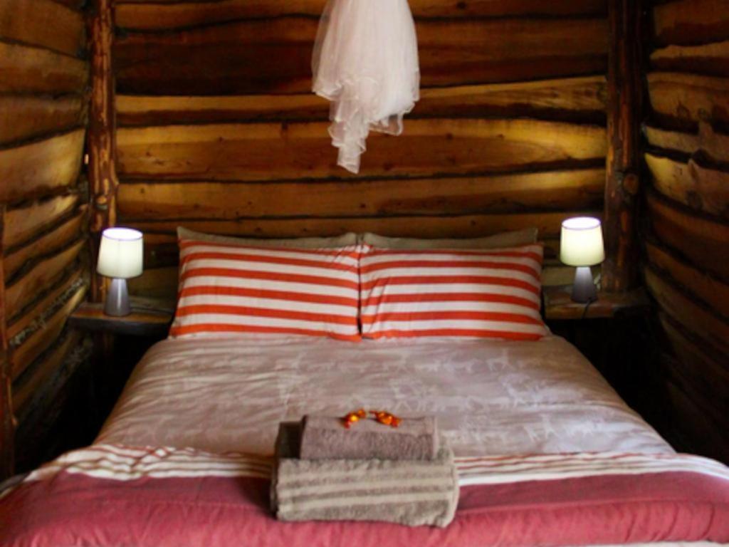 Standard Cabin - Photo 6