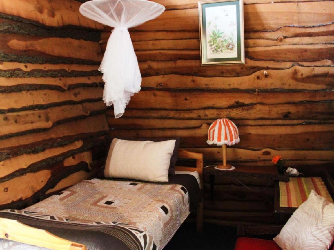 Standard Cabin - Photo 8