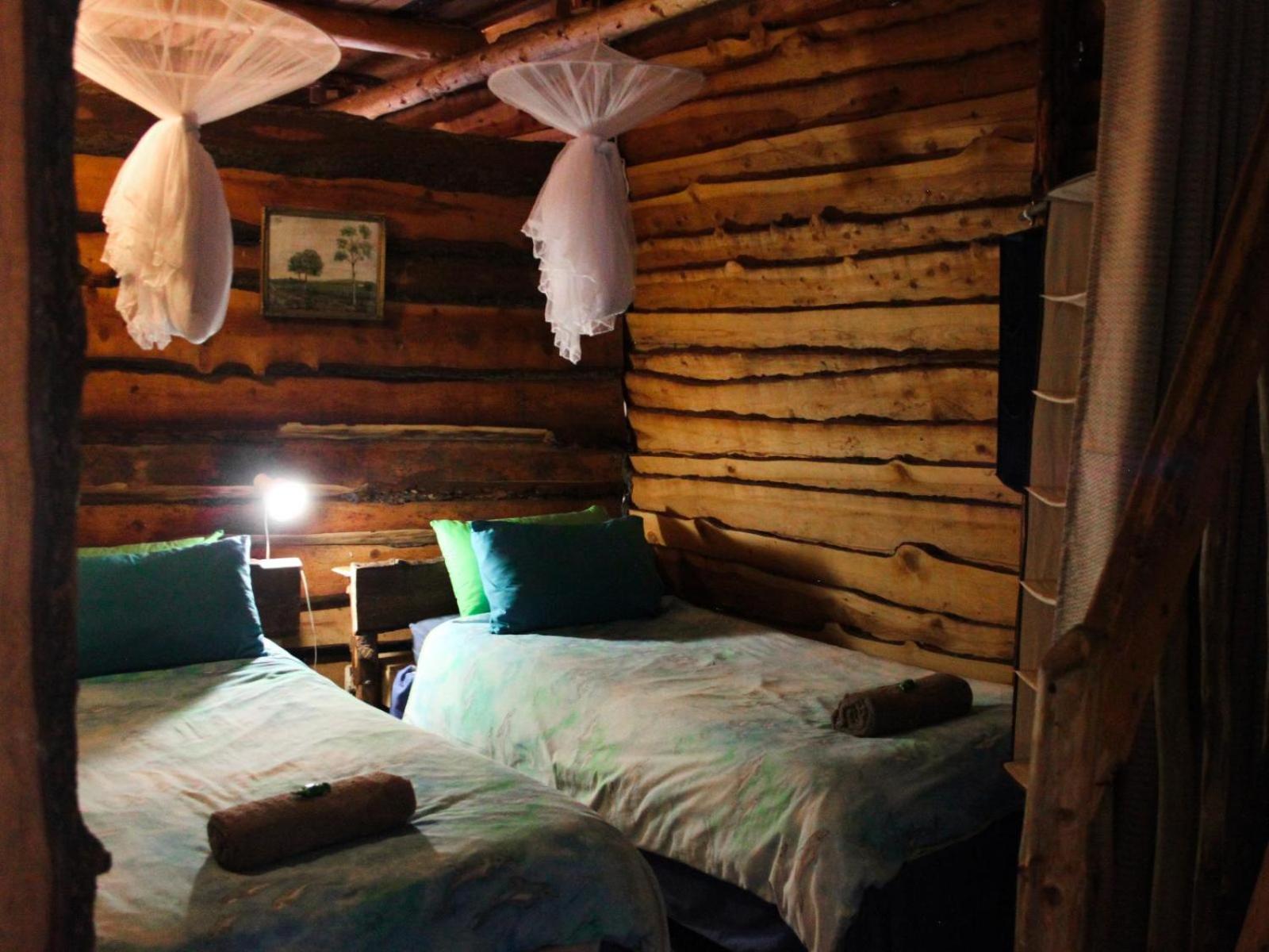 Economy Cabin - Photo 8