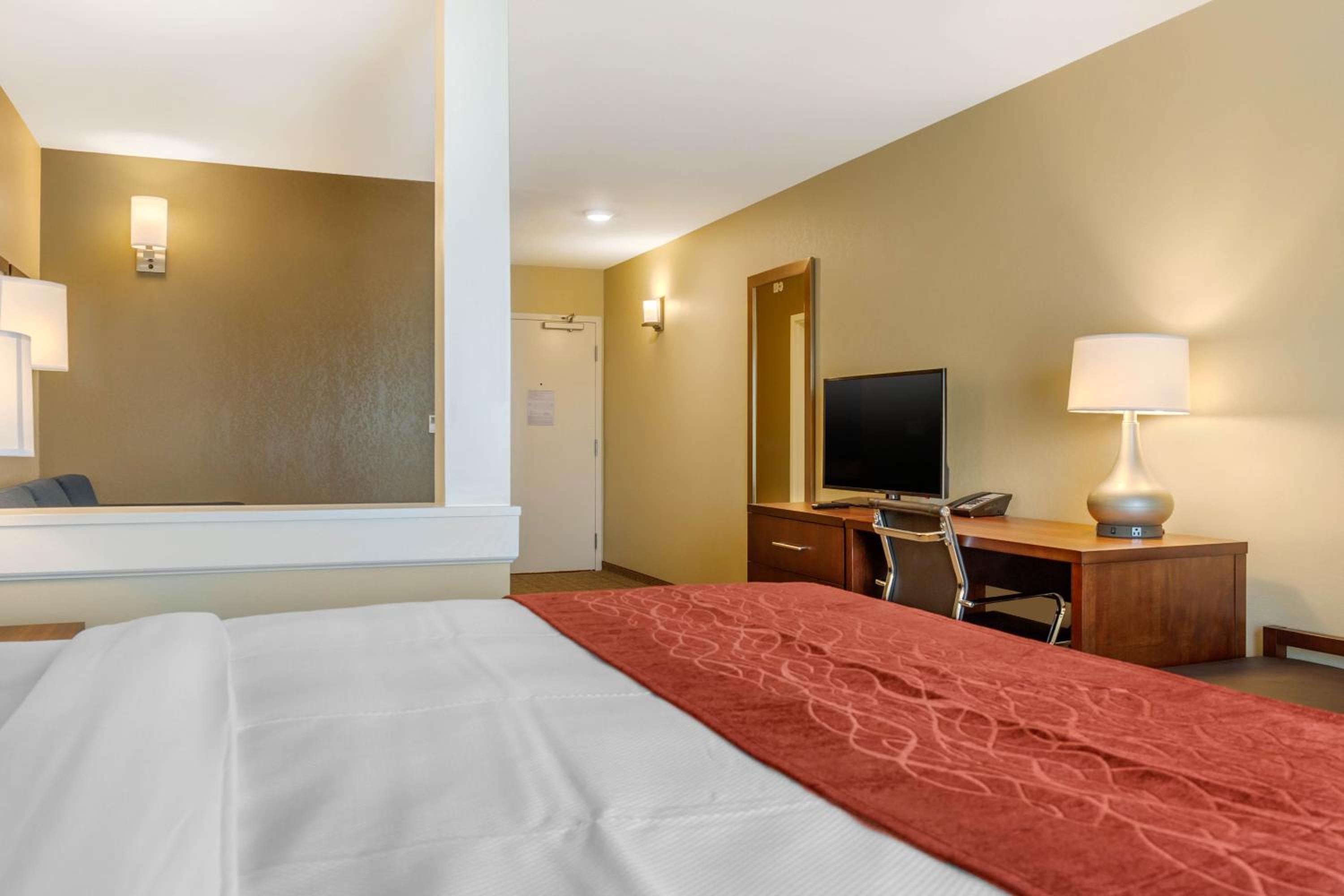 Efficiency King Suite - Accessible/Non-Smoking - Photo 3