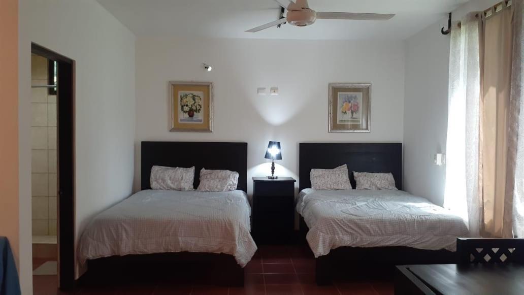 Deluxe Quadruple Room photo 1