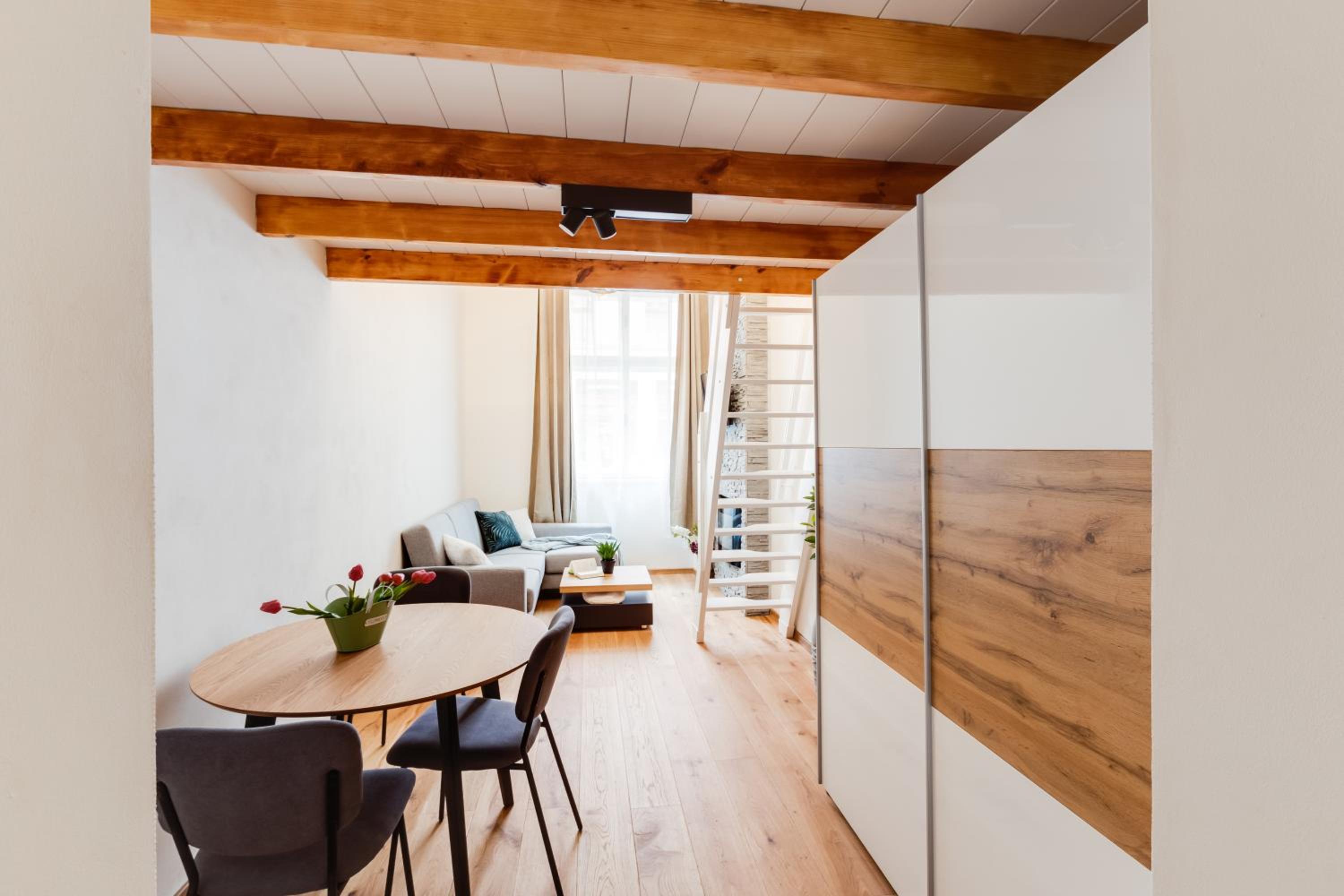 Deluxe Apartment