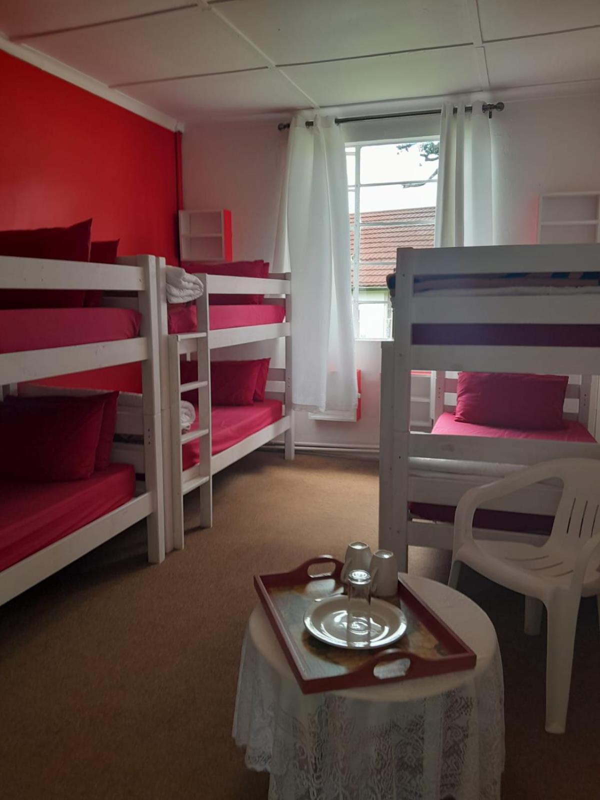 6-Bed Mixed Dormitory Room