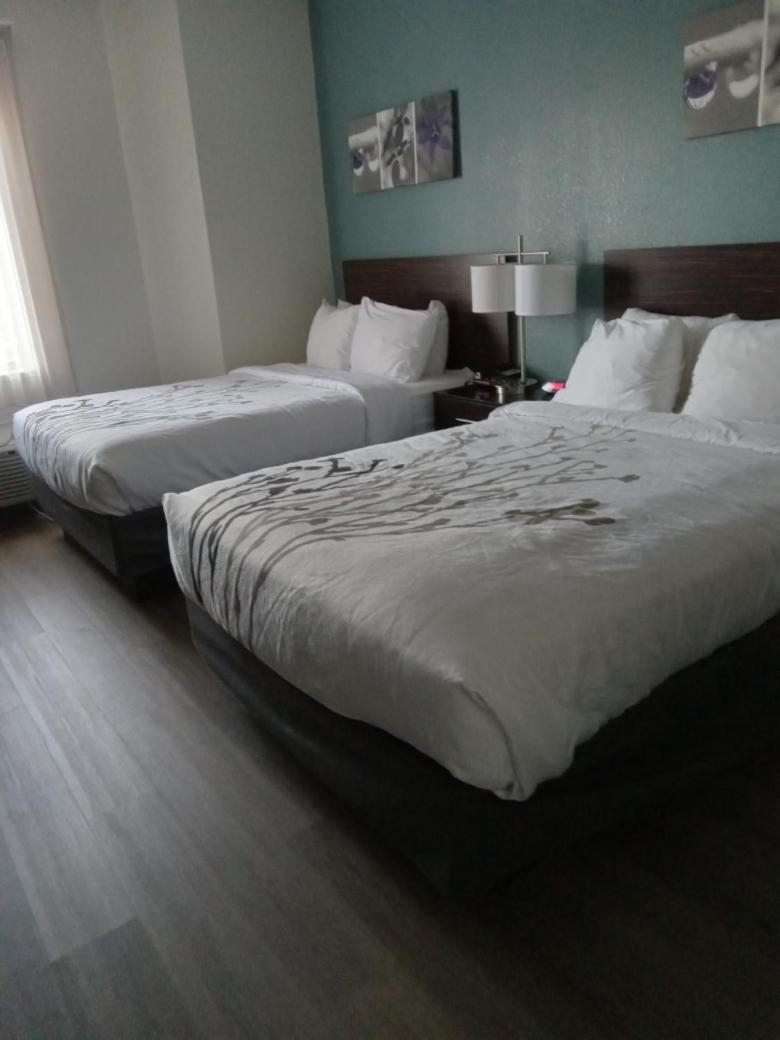 Double Room with Two Double Beds - Non-Smoking/First Floor  photo 3