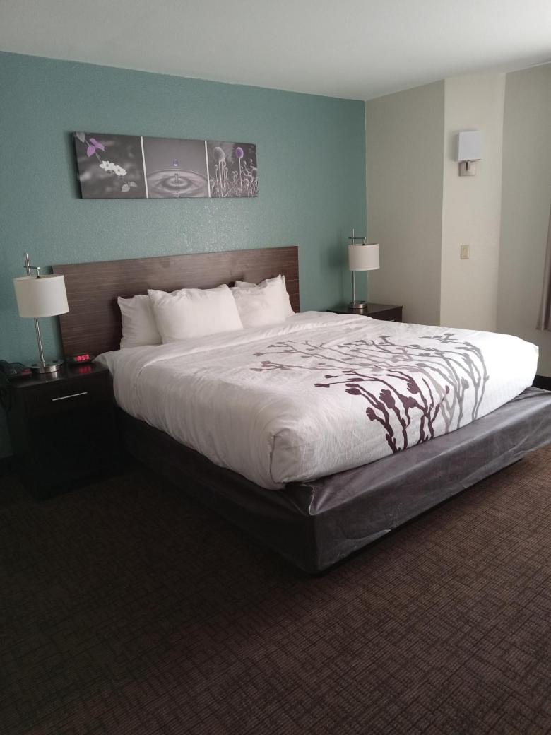 King Room - Non Smoking photo 2