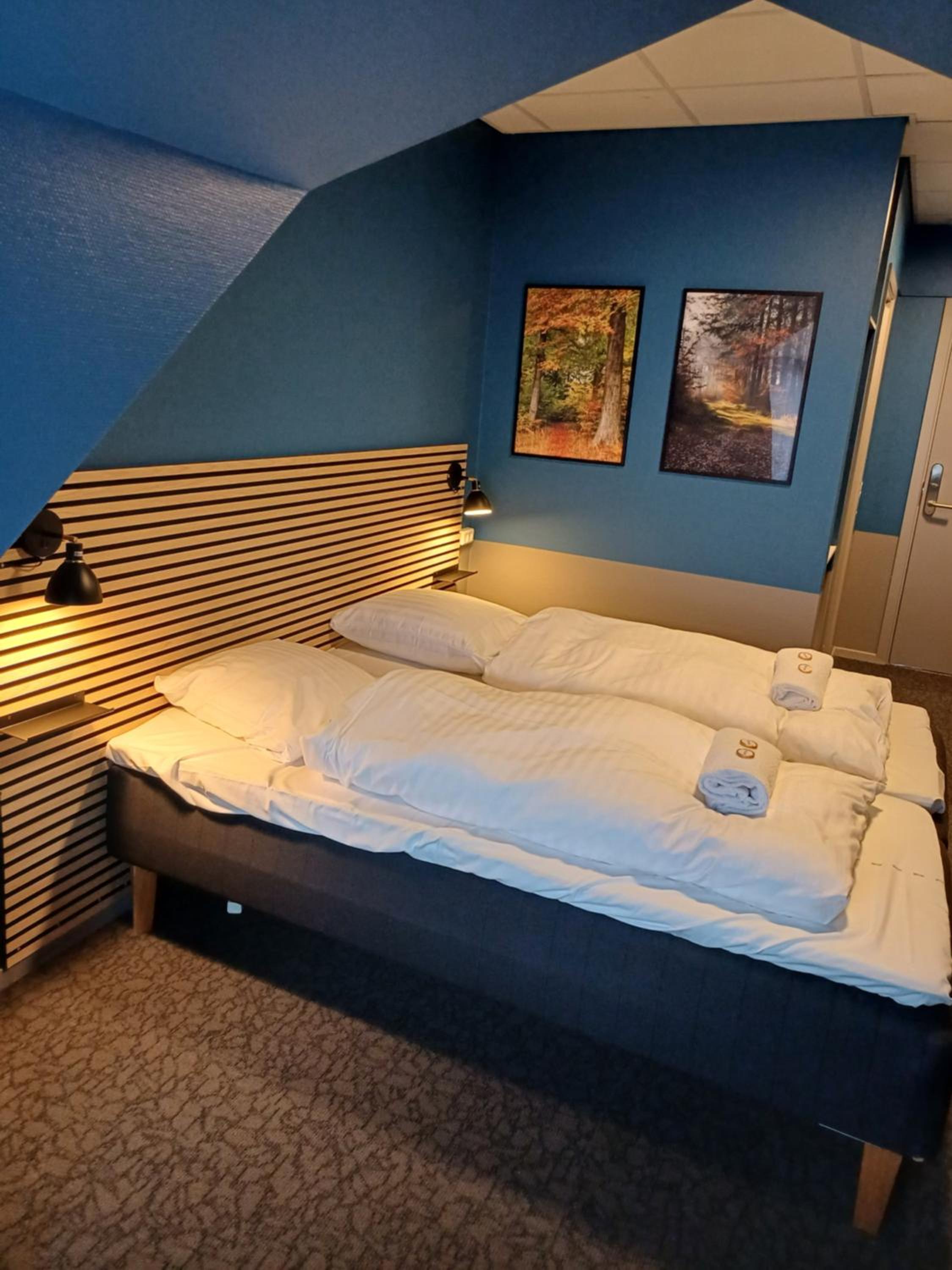 Double Room photo 1