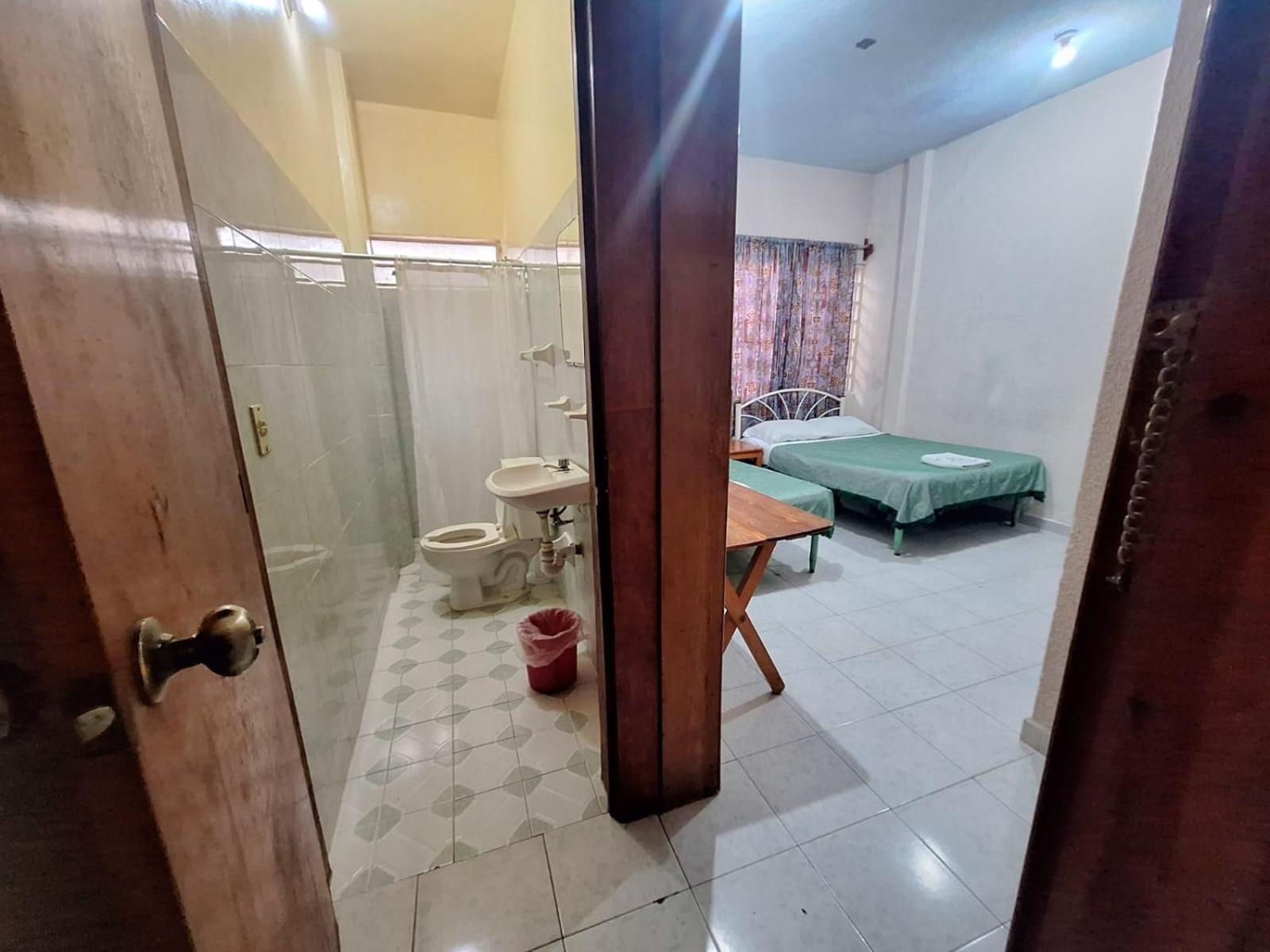 Twin Room photo 2