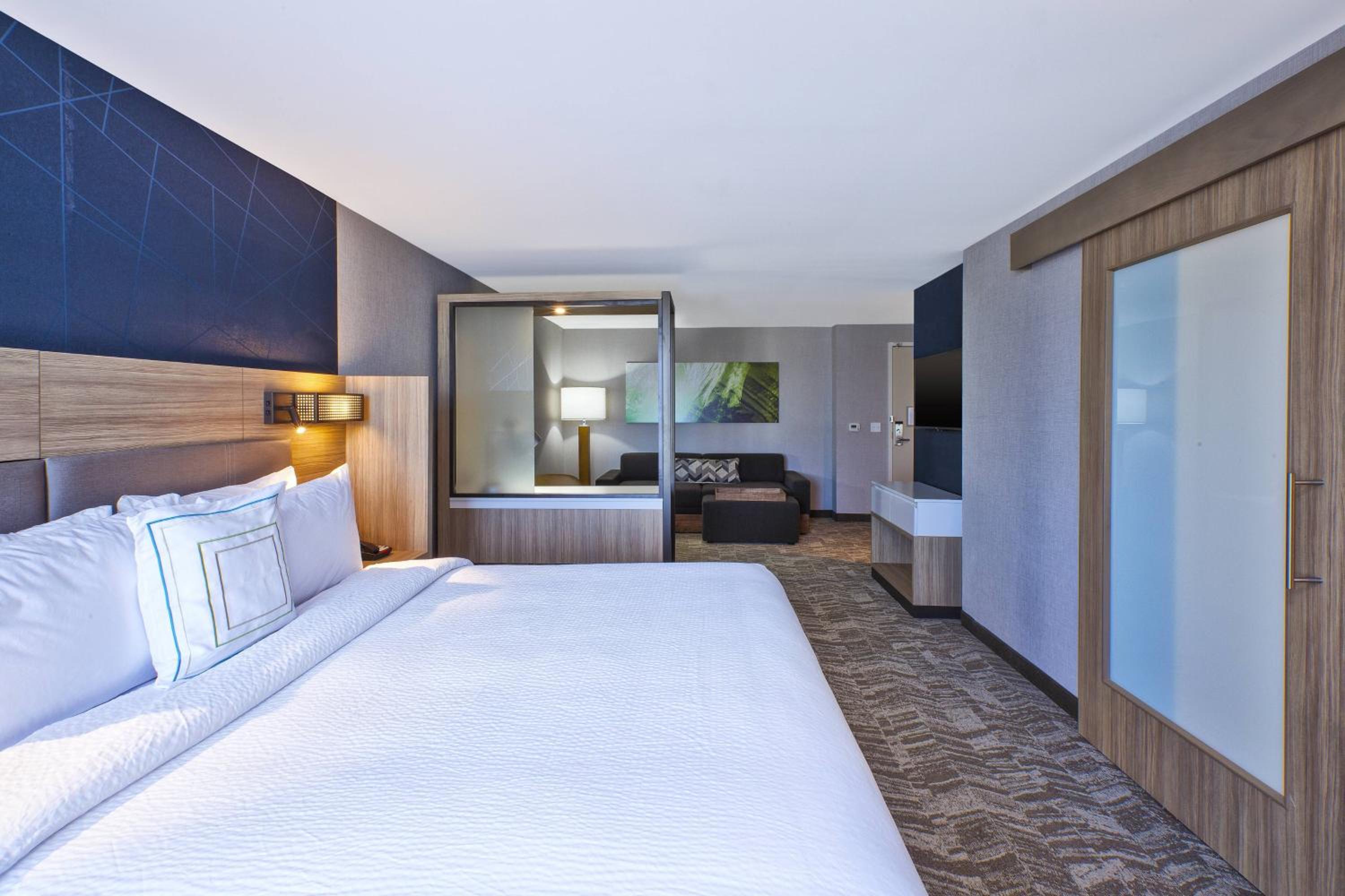 King Suite photo 3