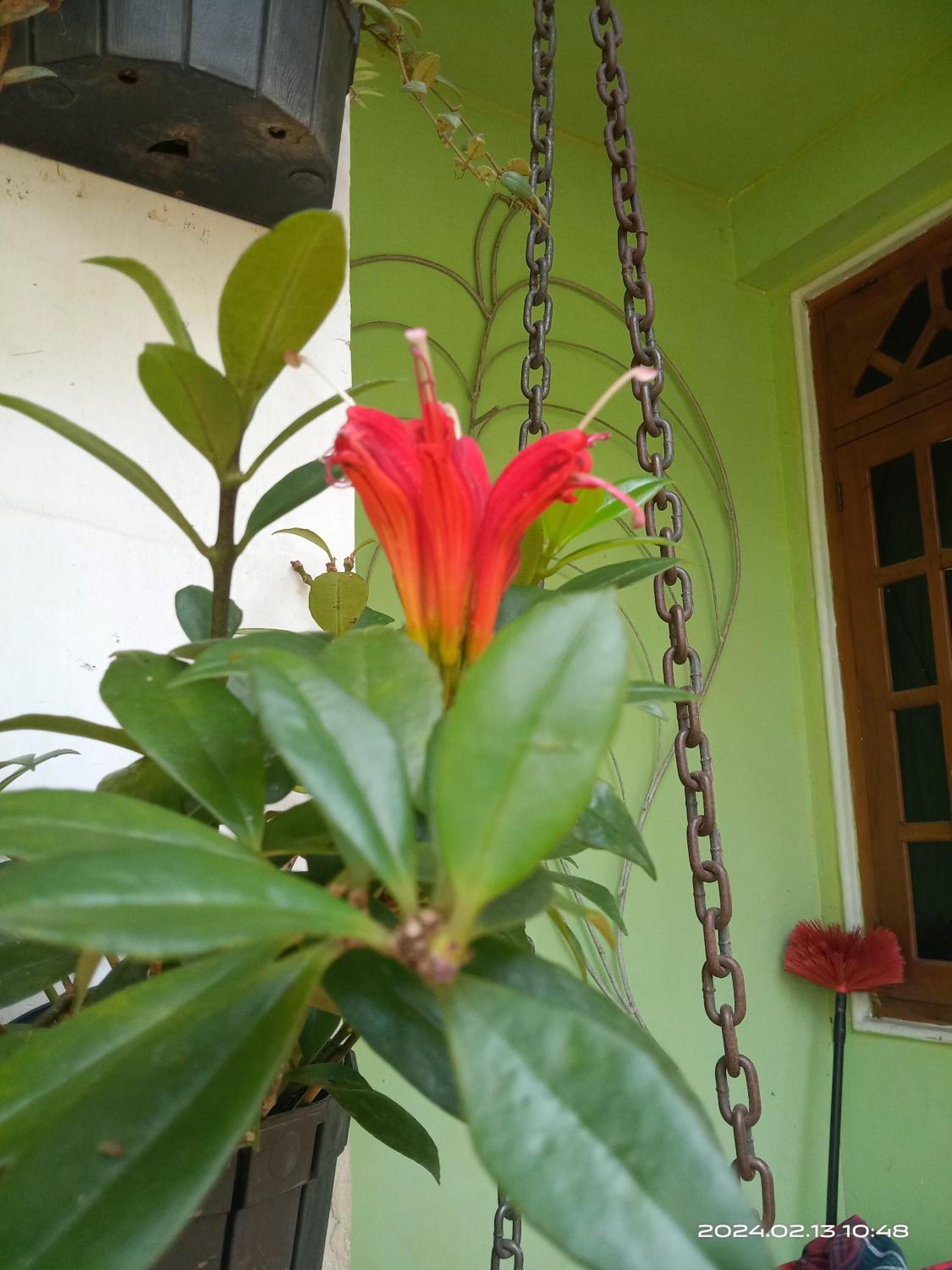 Vacation Home photo 3