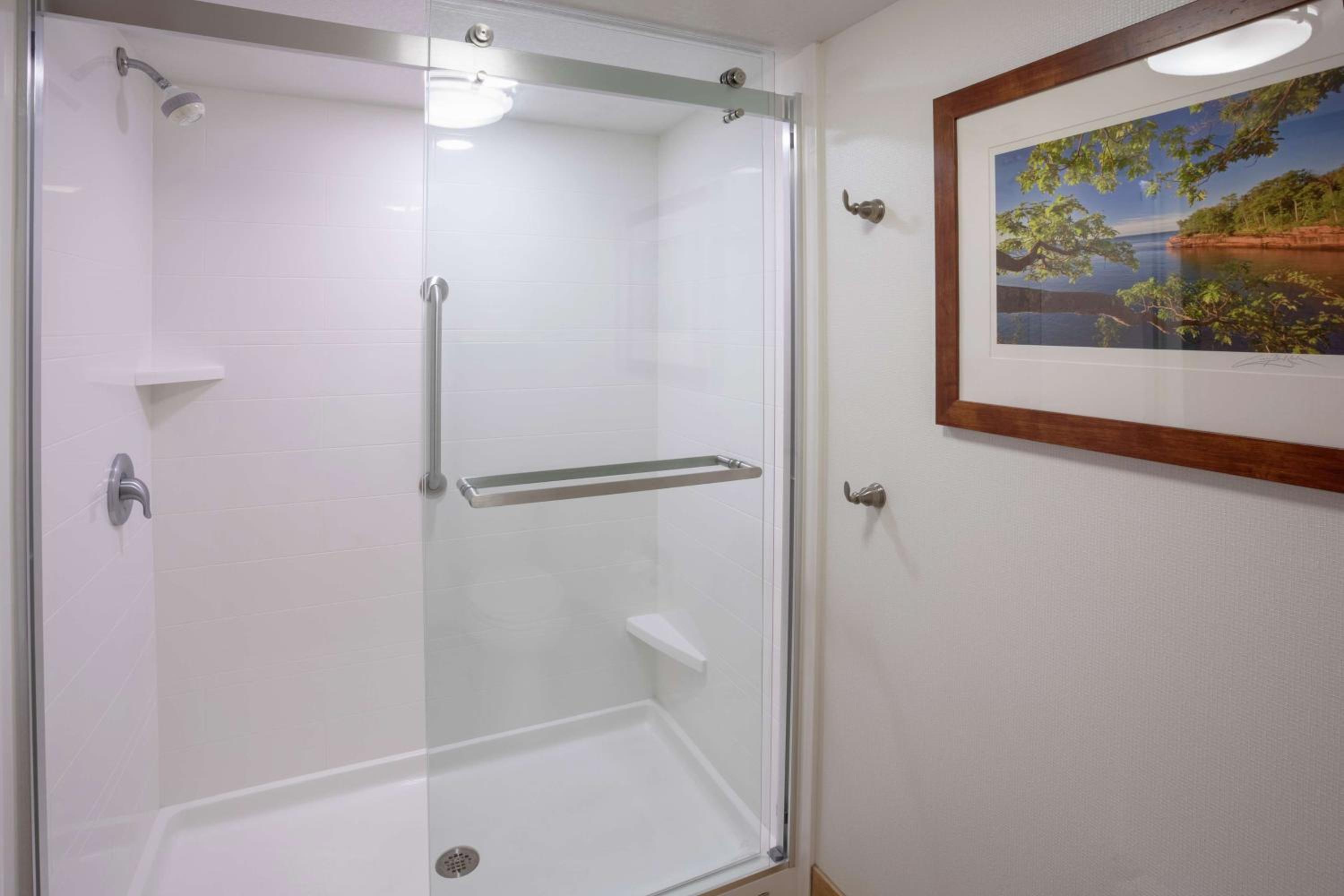 King Suite with Lake View - Non-Smoking - Photo 6