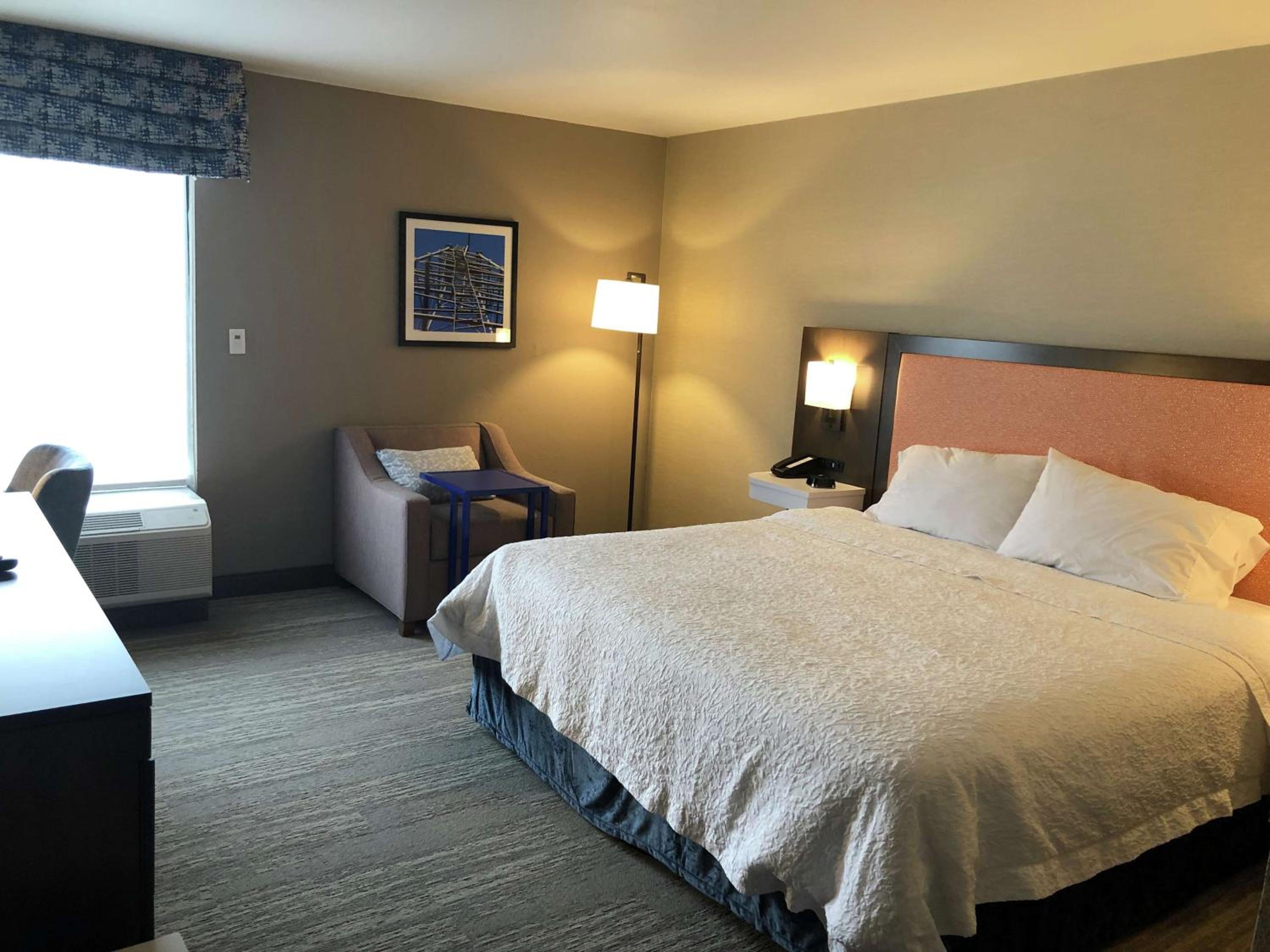 King Room with Roll-In Shower - Mobility Access/Non-Smoking - Photo 2