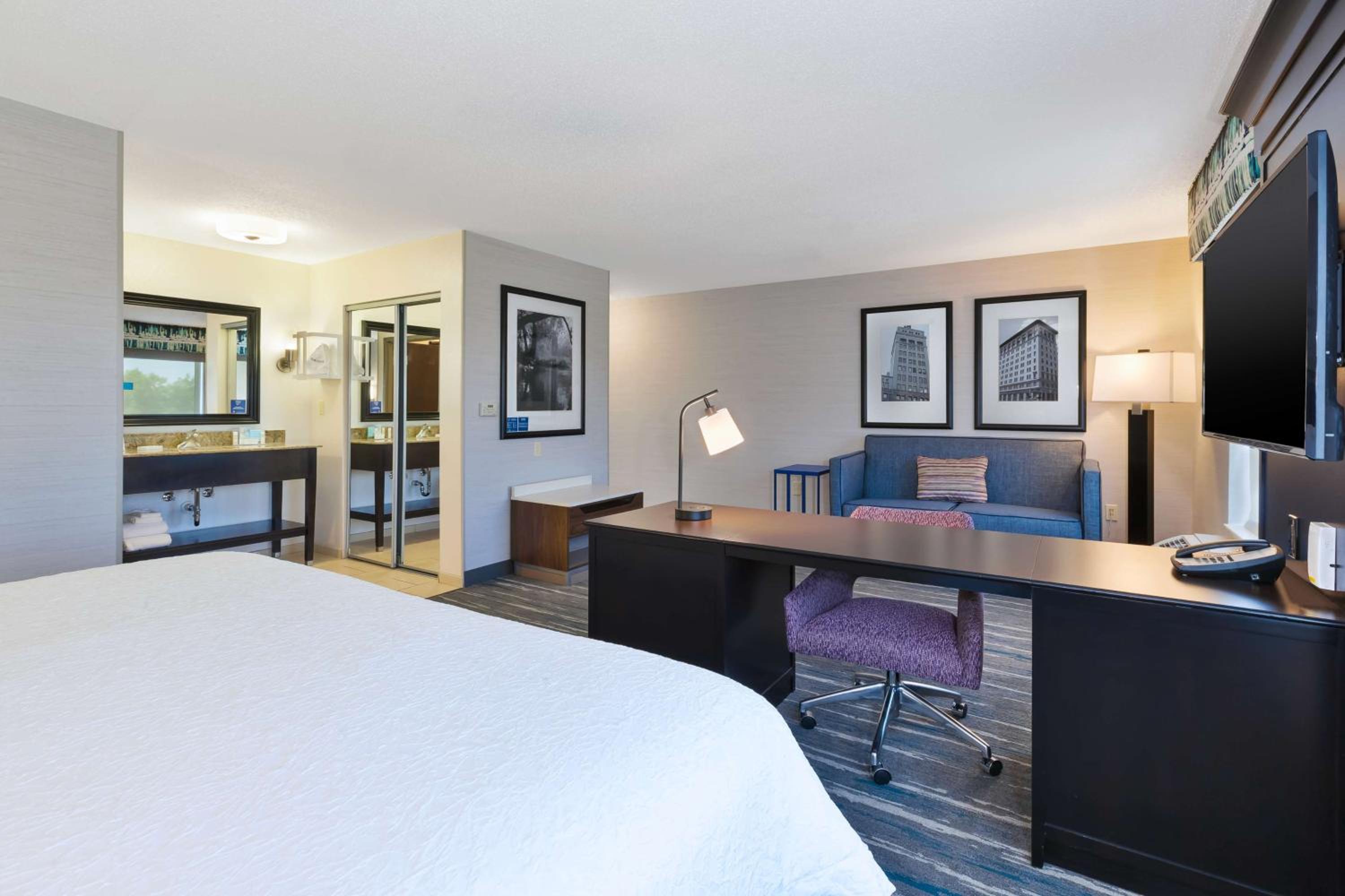 King Studio Suite with Sofa Bed - Non-Smoking - Photo 1