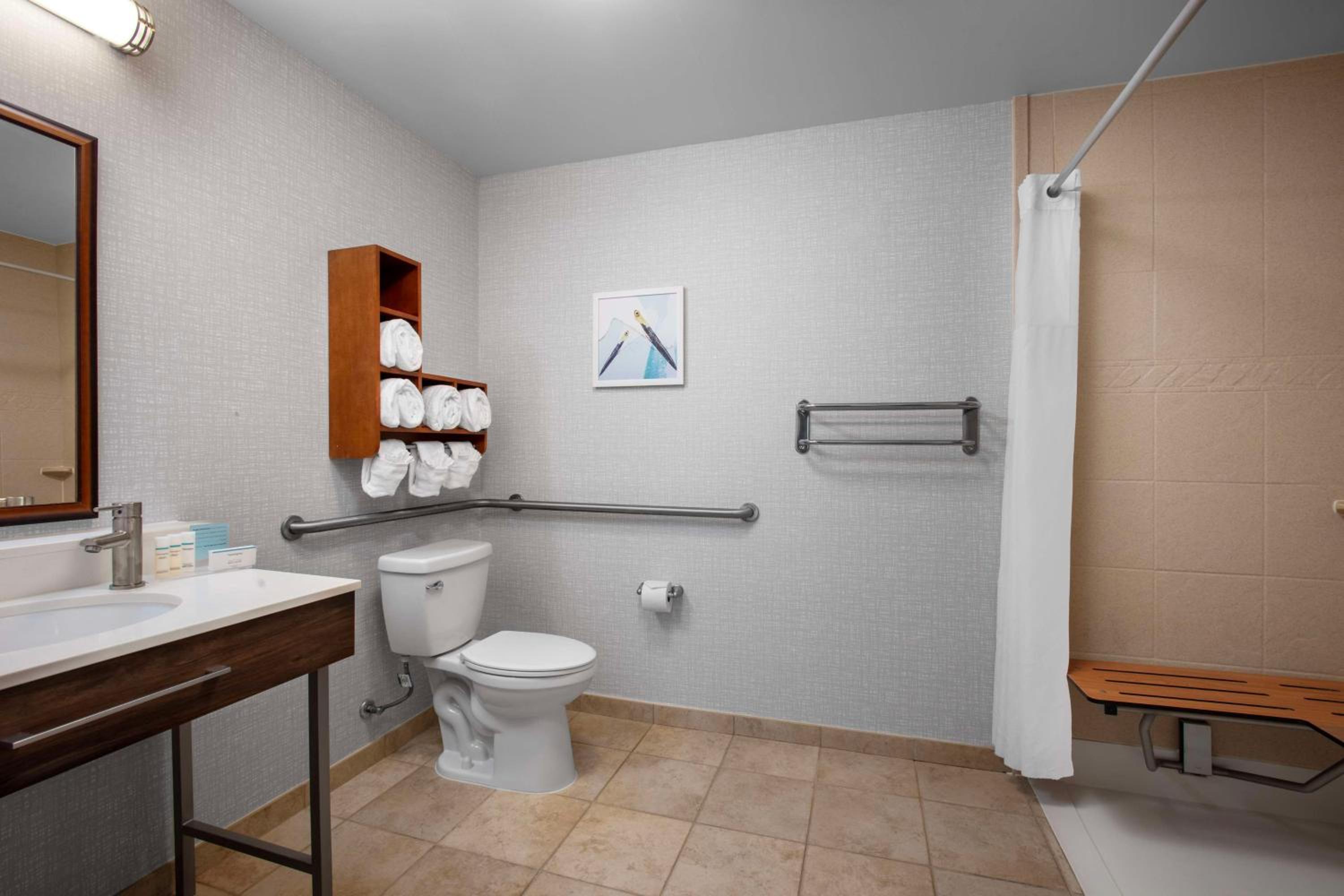 King Studio with Roll-In Shower - Mobility Access/Non-Smoking