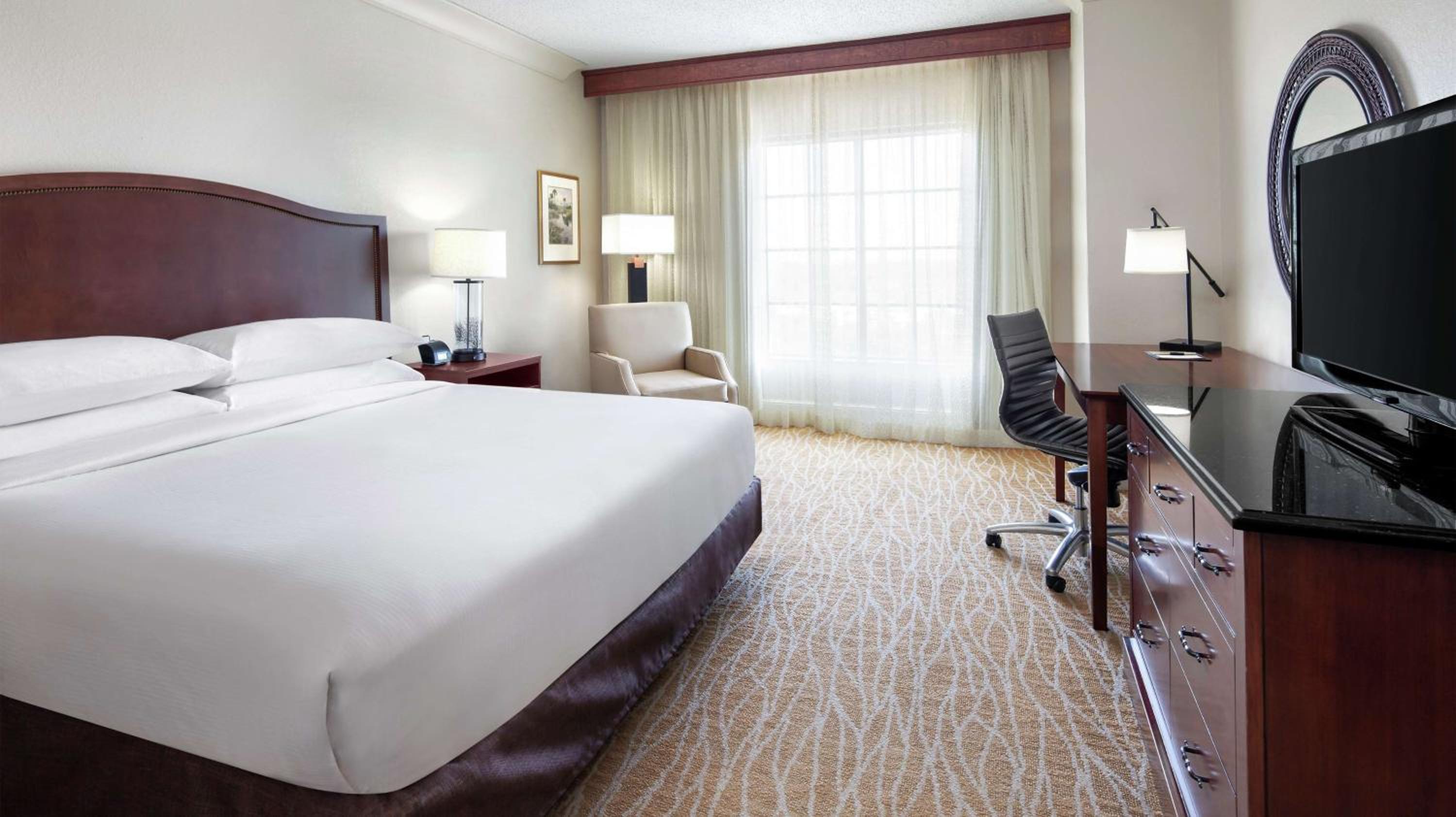 Deluxe King Suite with Sofa Bed - Photo 1