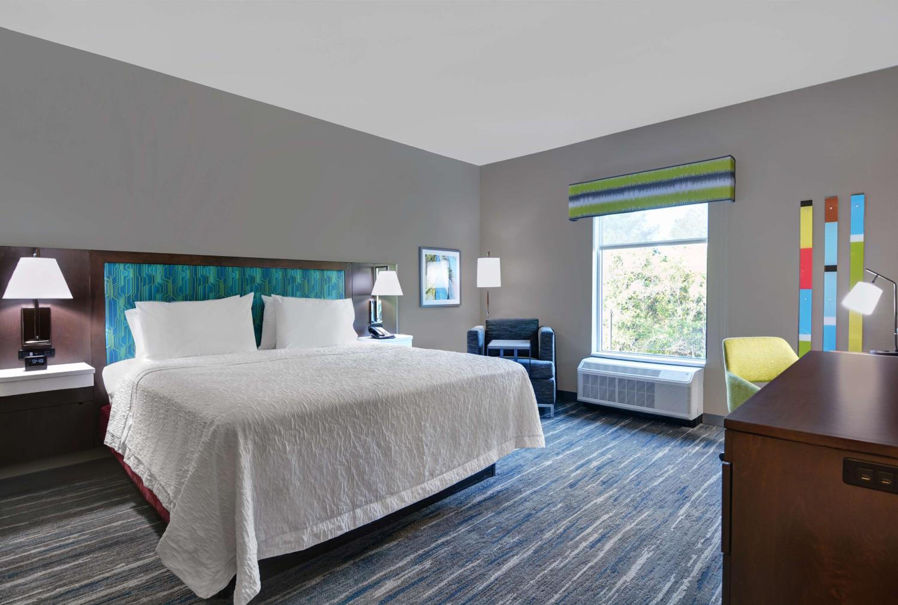 King Room with Roll-in Shower - Disability Accessible/Non-Smoking - Photo 1