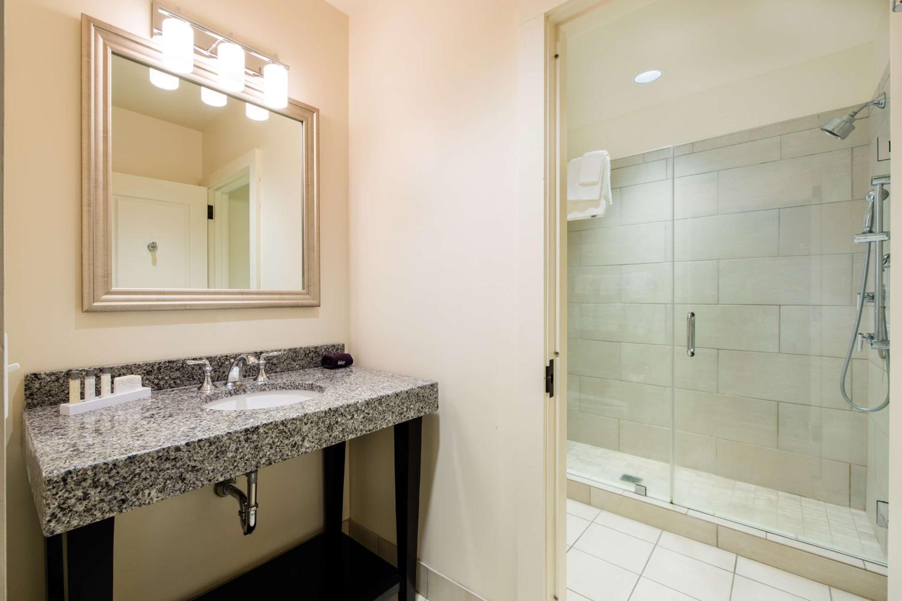 One-Bedroom King Suite - Photo 12