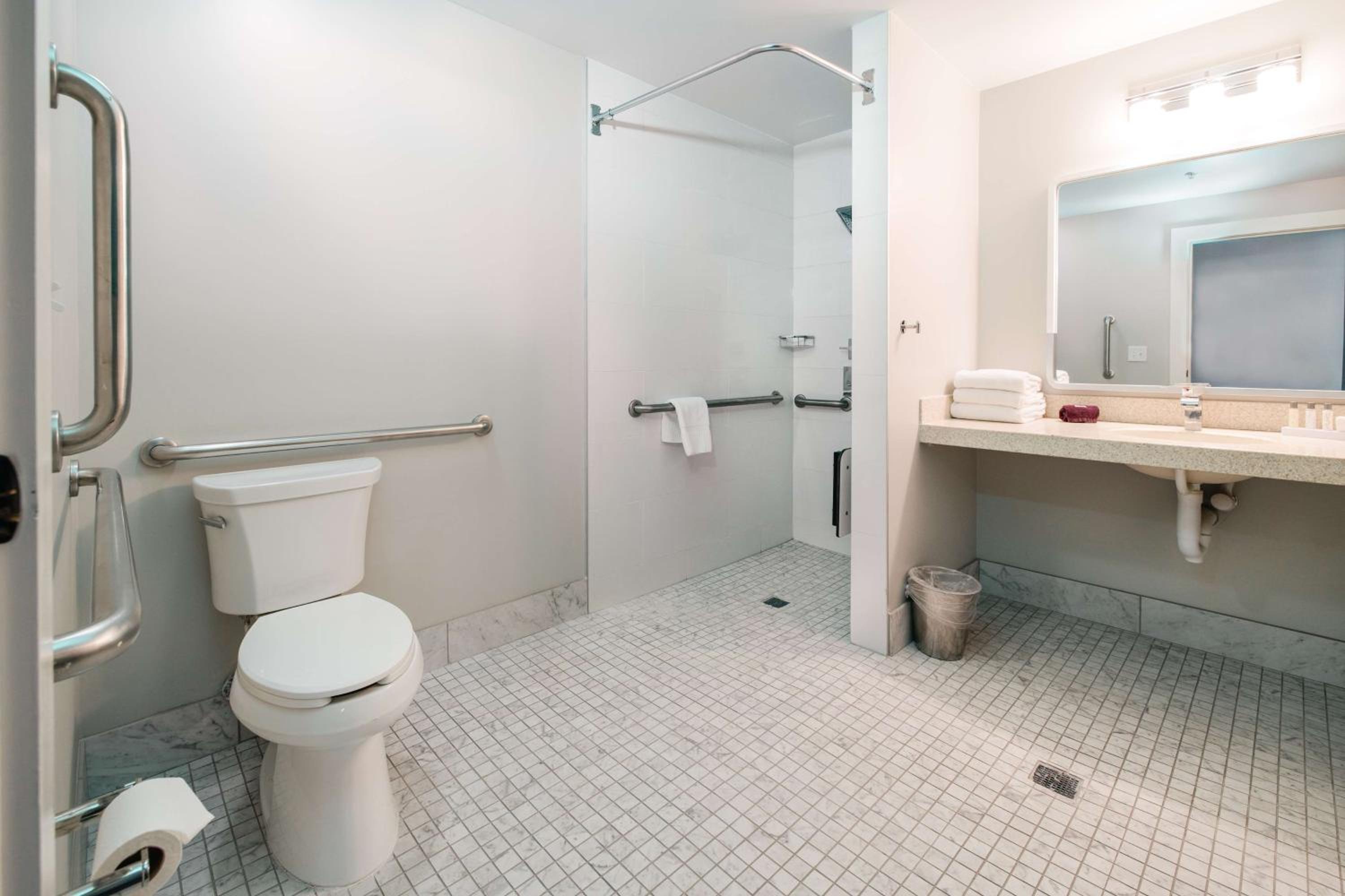 King Room with Roll-In Shower - Mobility Access - Photo 2