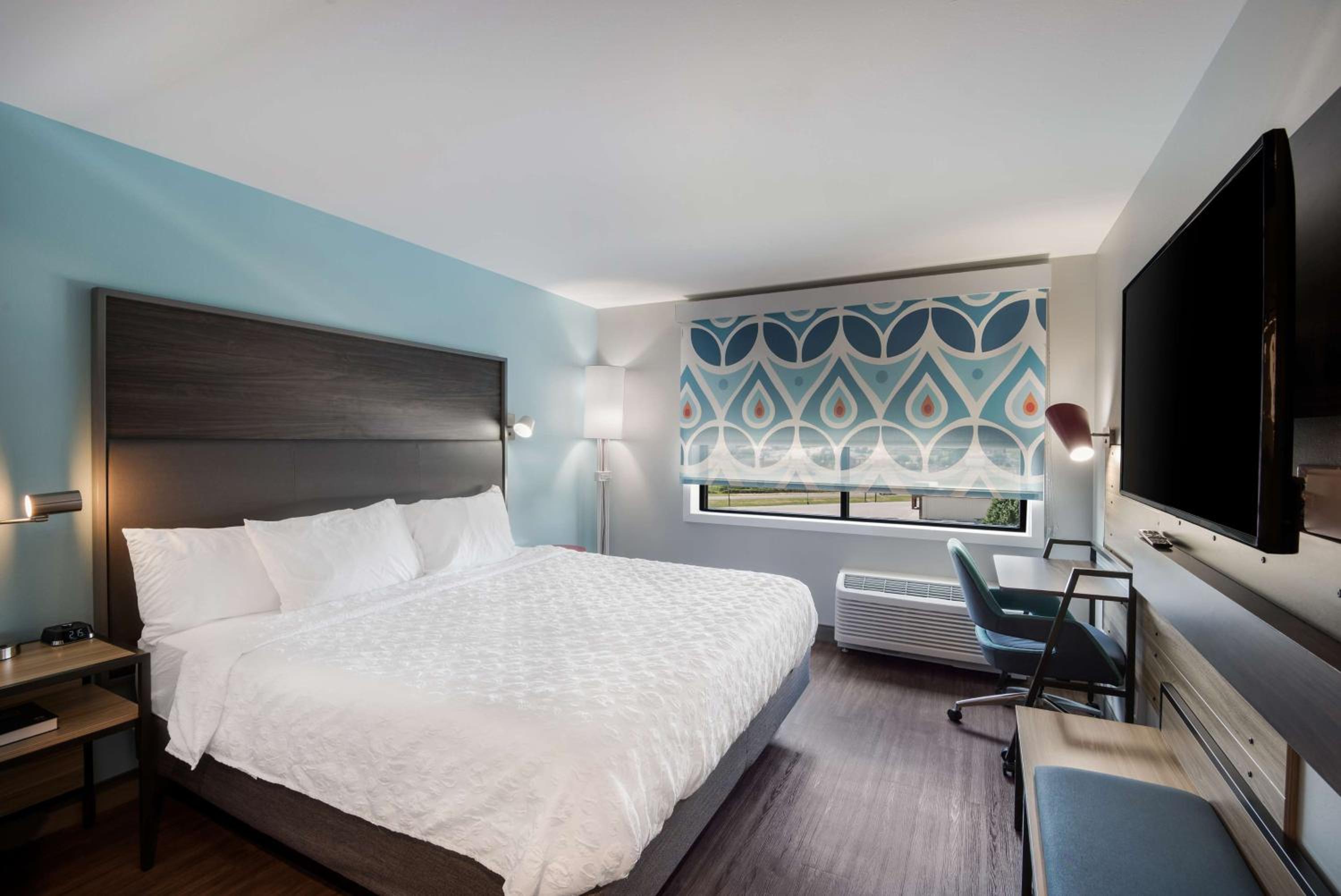 King Room - Photo 1
