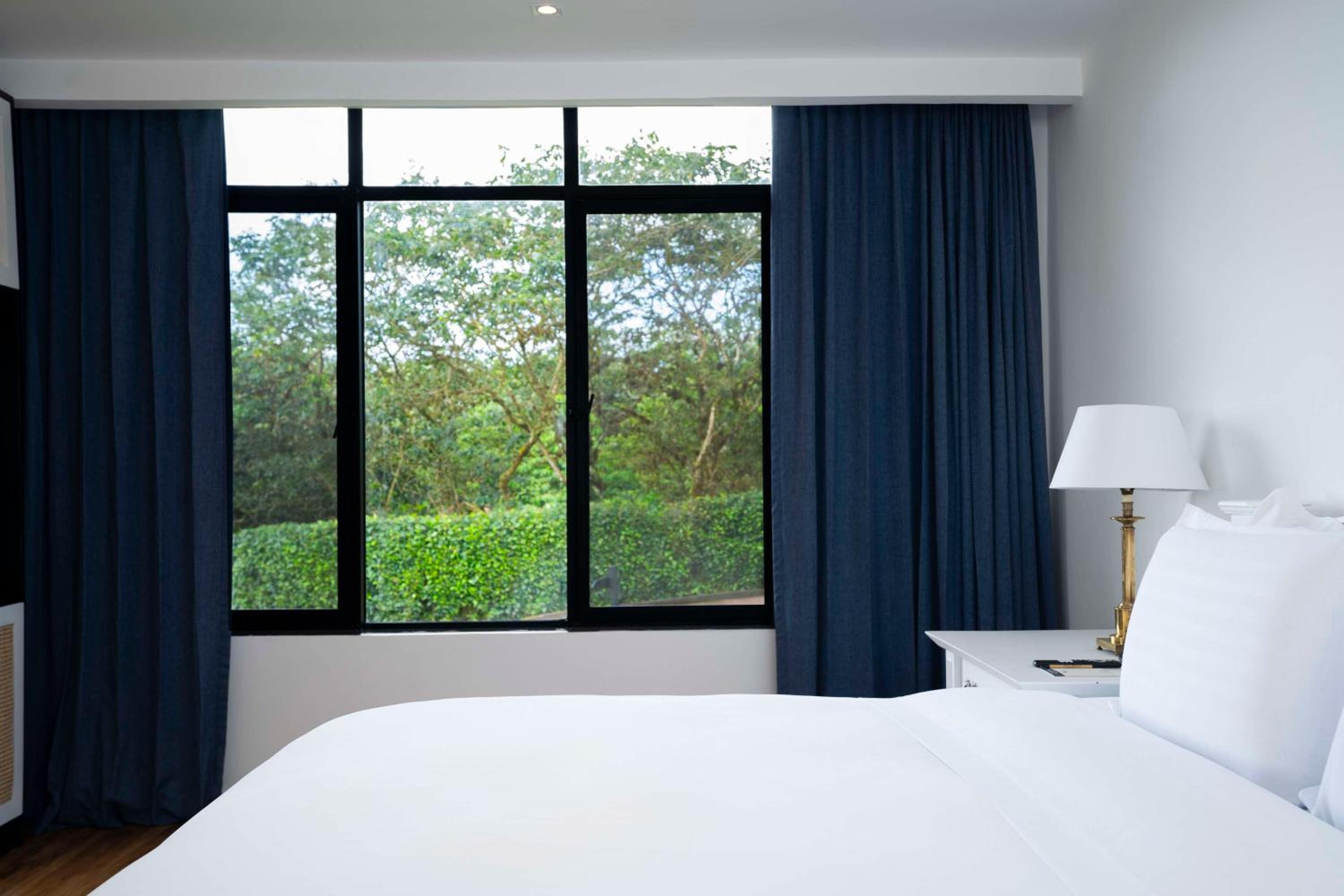 Villa Two Queen Beds photo 3