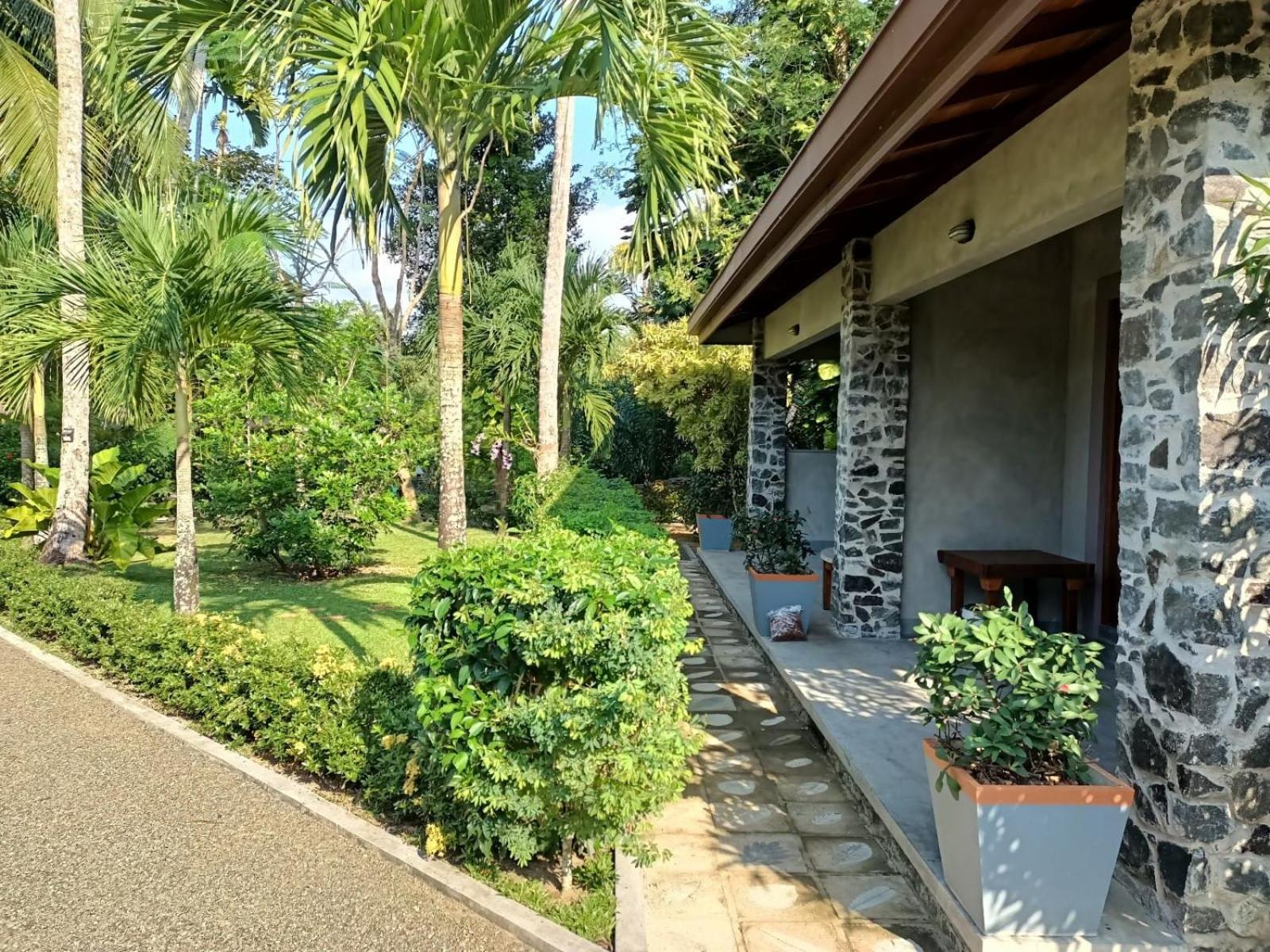 Double Room With Garden View photo 2