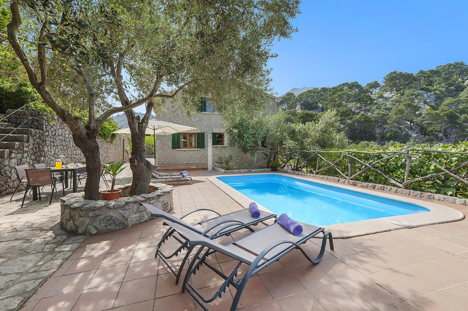 Superior Villa photo 2