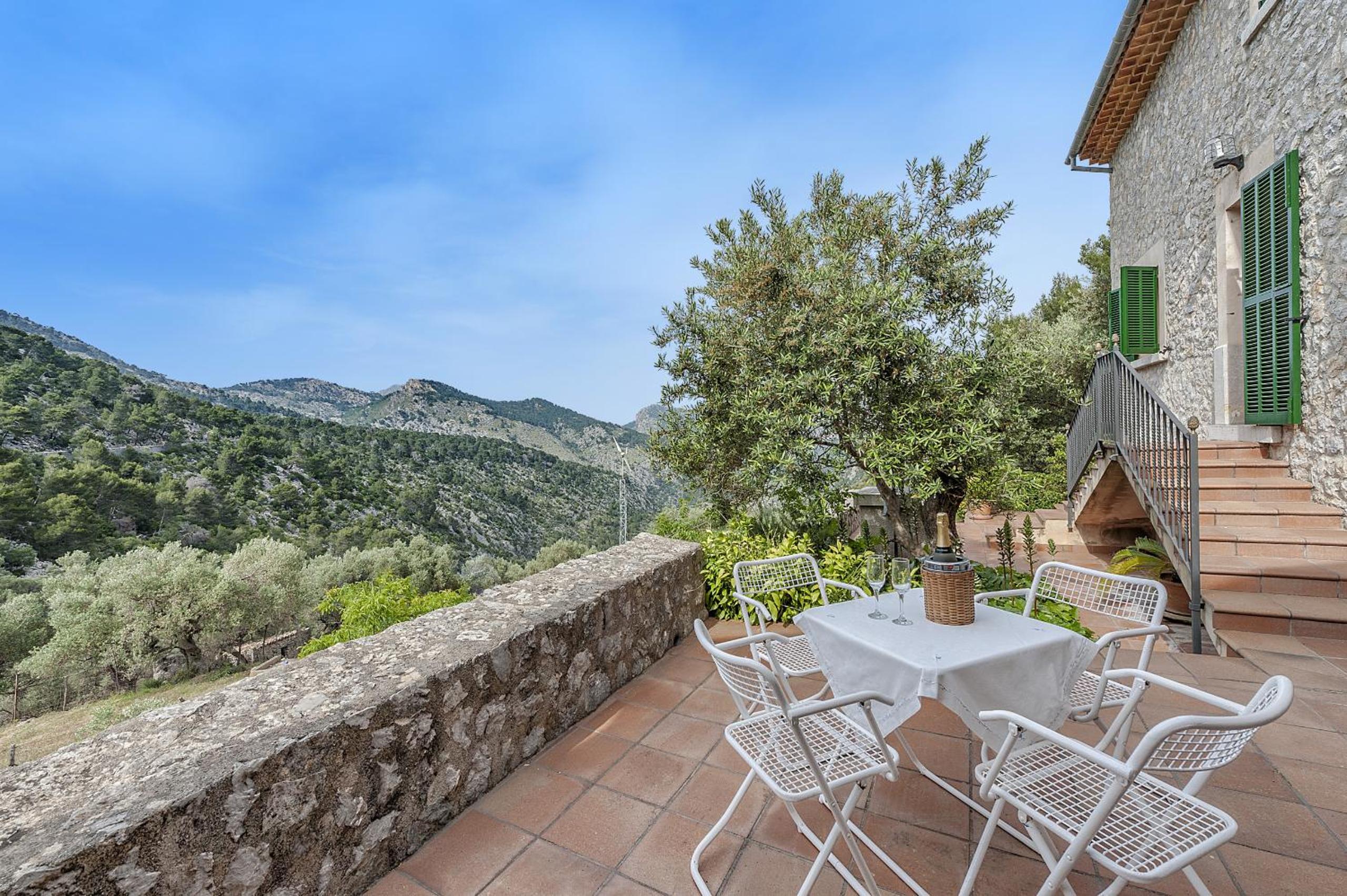 Superior Villa photo 3