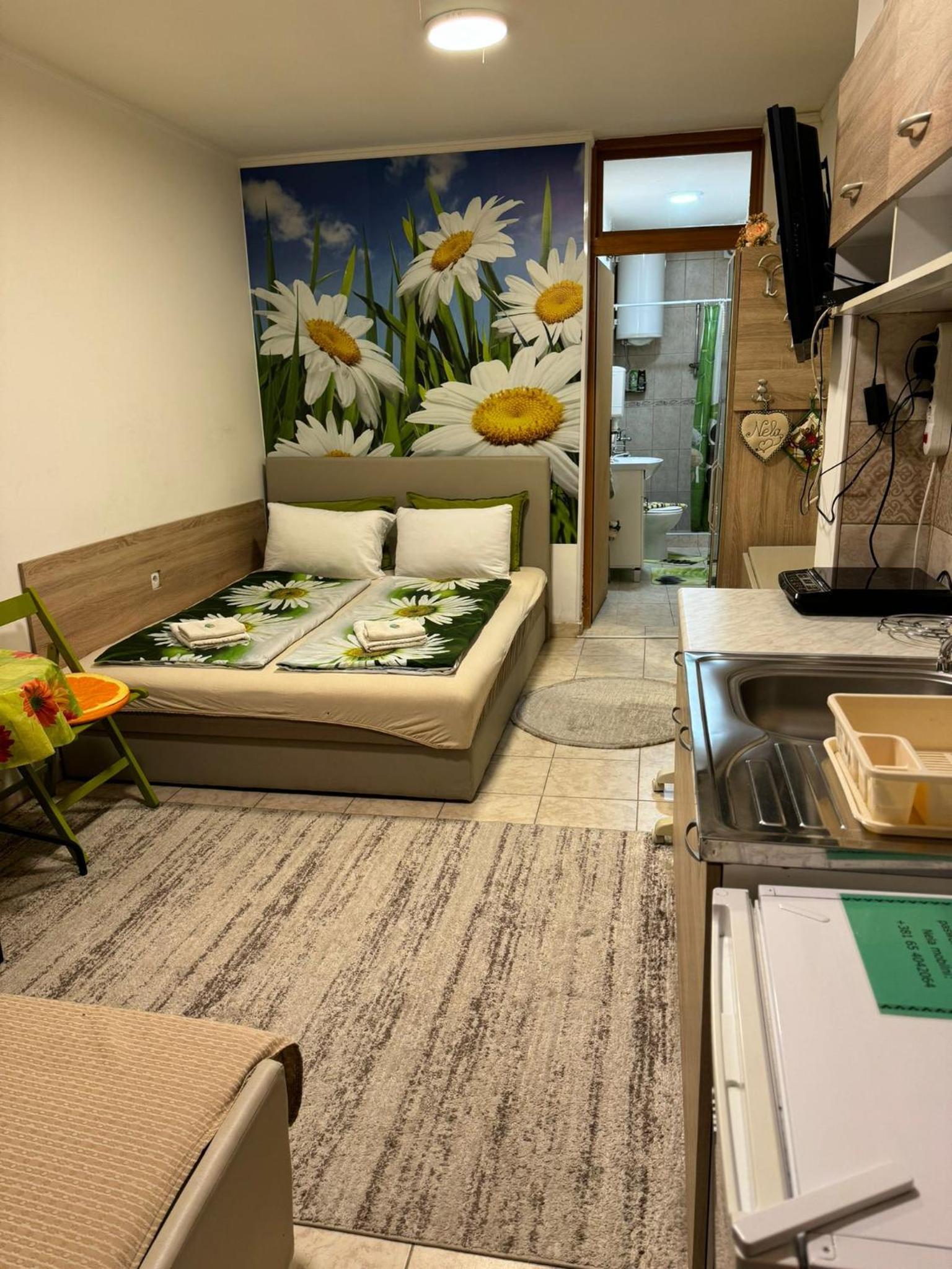 One-Bedroom Apartment photo 2